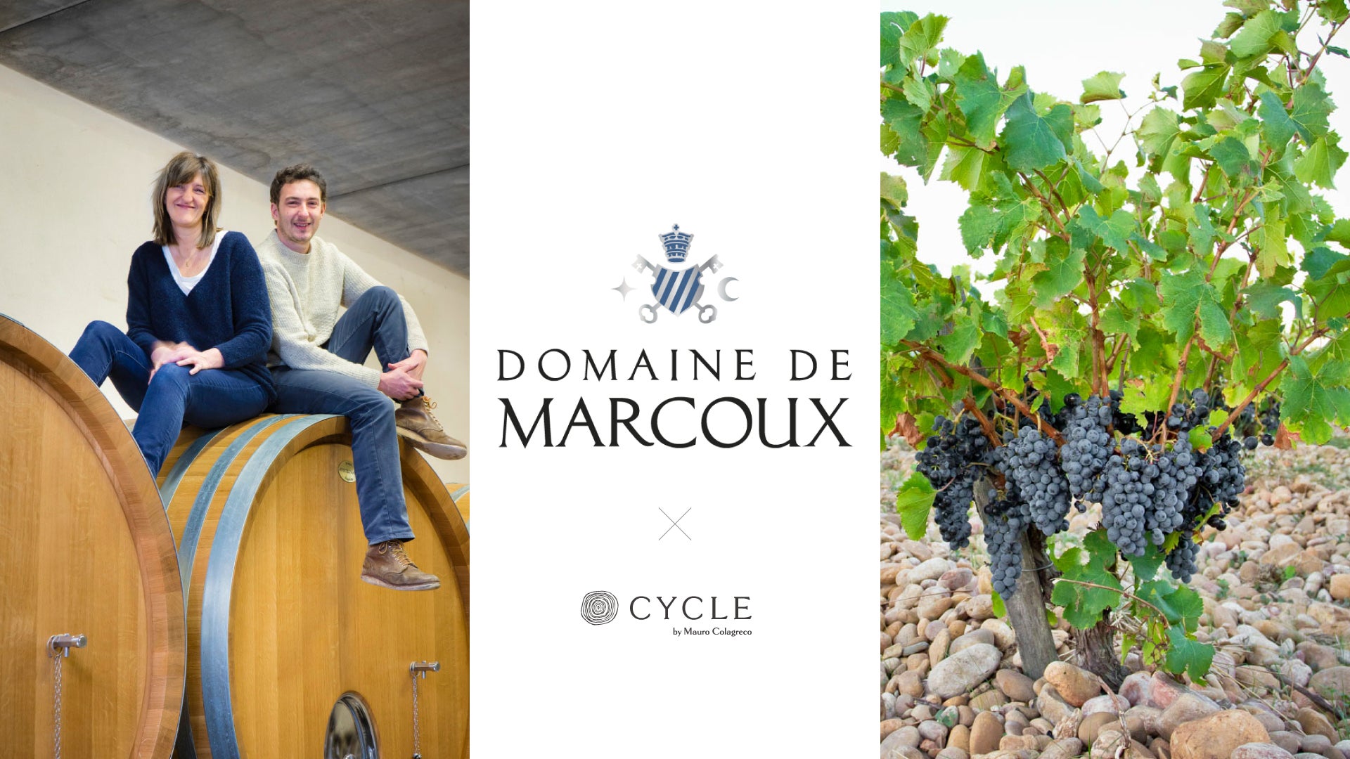 ミシュランガイド常連「ラーメン屋 トイ・ボックス」⼭上貴典⽒監修「ラーメンGINZA TON BOX」2025年10⽉7⽇（⽕）、銀座にオープン