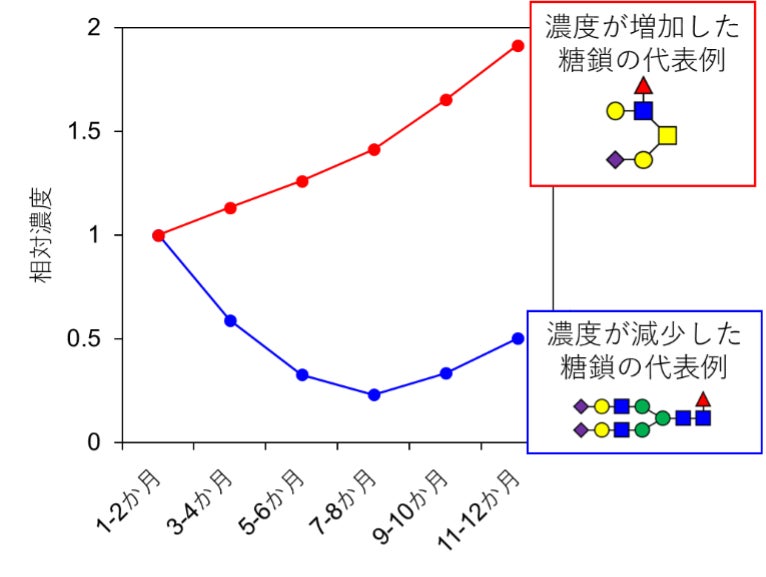 白馬岩岳マウンテンリゾート、三段紅葉シーズン到来にあわせナイトイベント「IWATAKE AUTUMN NIGHT 2025」11月8日に開催