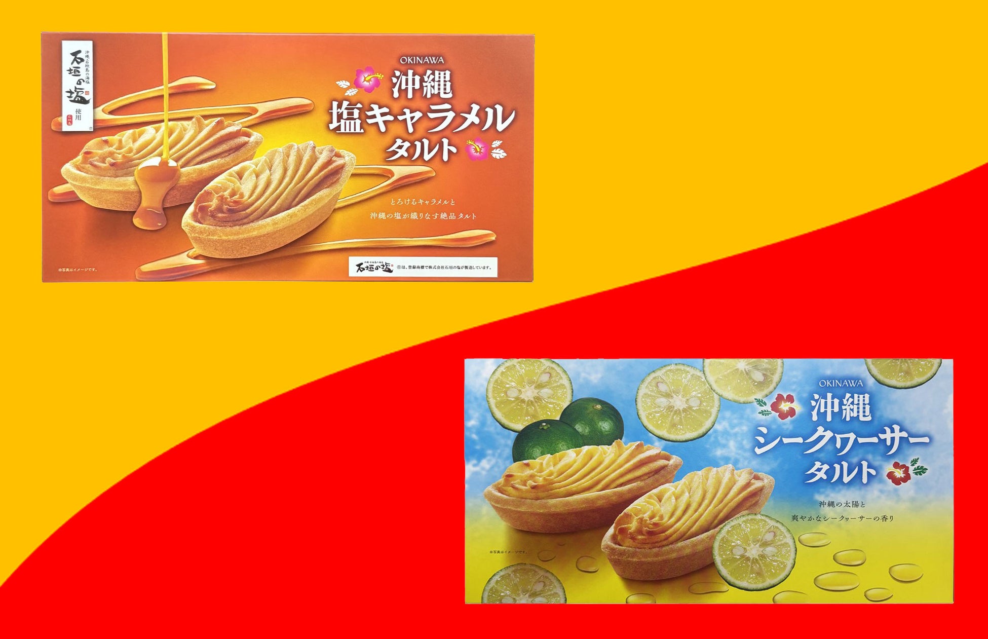 『ノーリカーノーライフvsマエダハイボール 最終決戦オフ会』を2025年11月24日(月)に開催決定！「チケットペイ」にて申し込み受付開始！