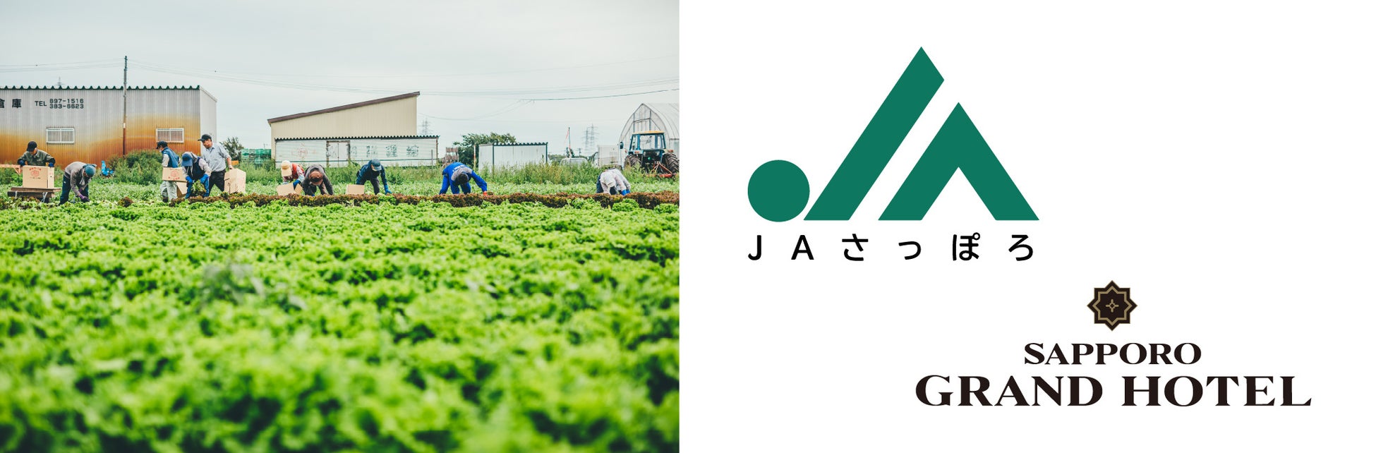 離島農産物との新たな出会い 「島のめぐみ」 を開催