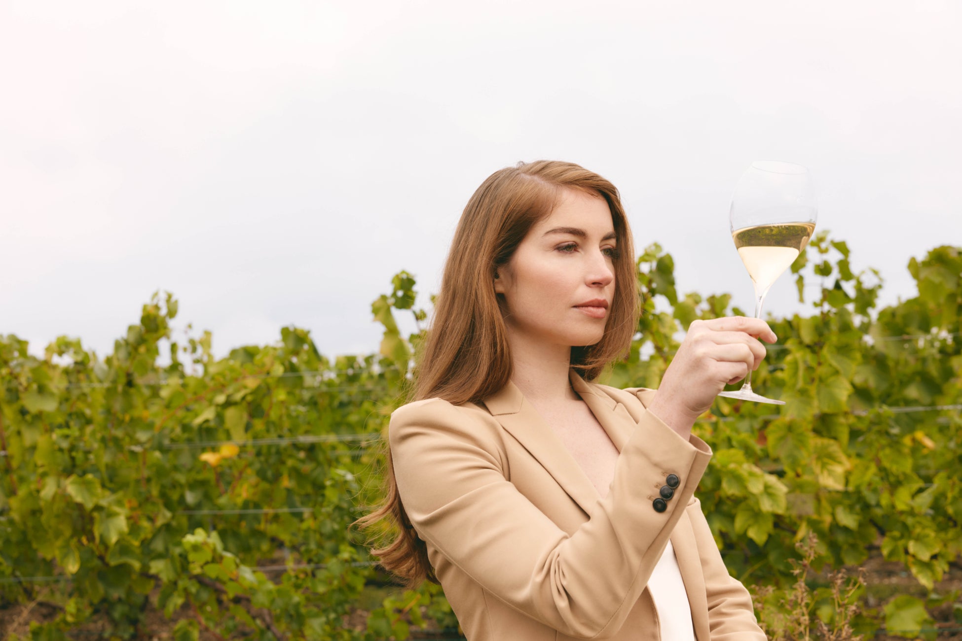 西日本に初上陸の調味料!削って使う湘南生まれの固形味噌「みそぶし」のうまみを厳選素材・ヴィーガン仕様のハンバーガーとパスタで楽しんで<10/8スタート>