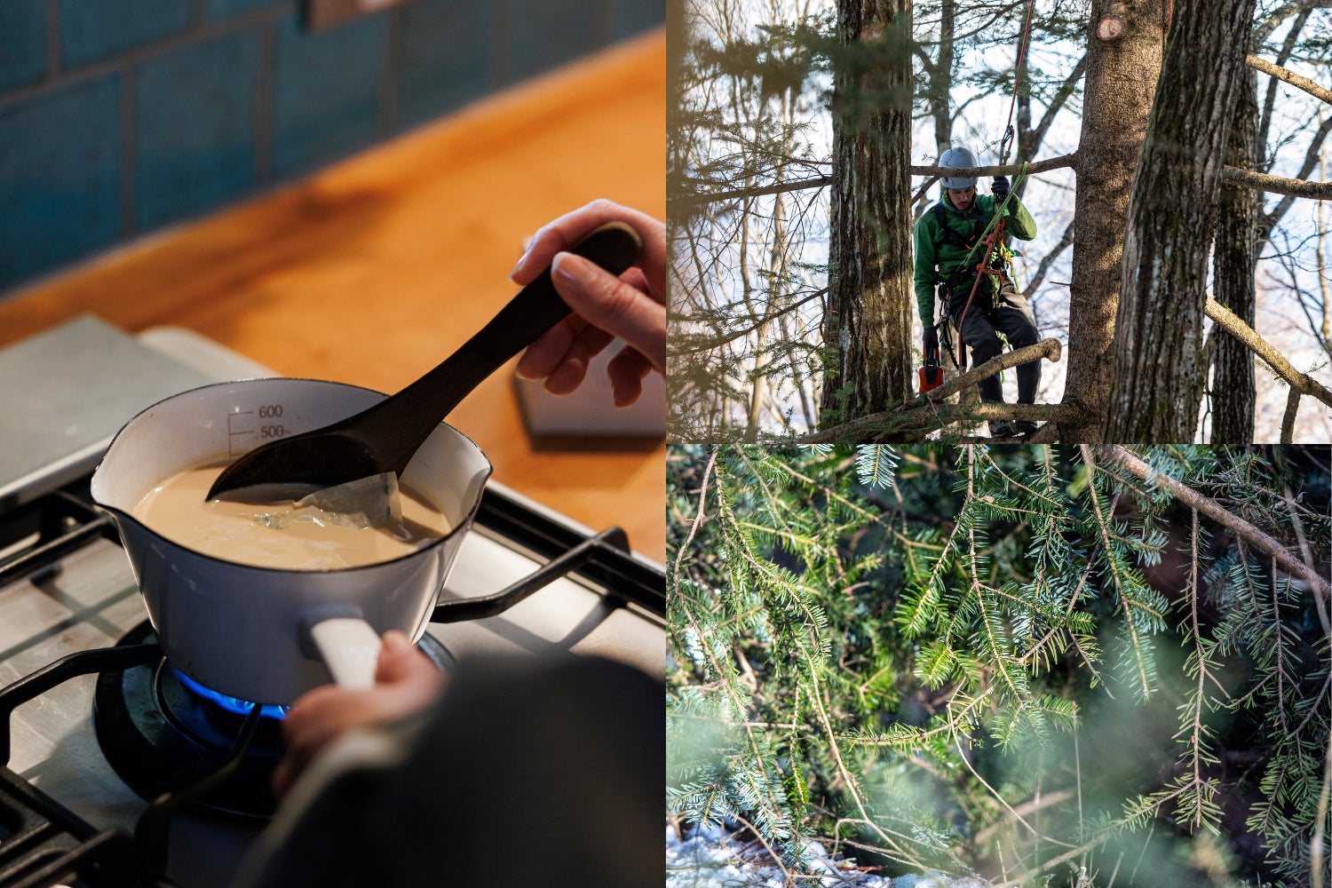 ニュー・クイック公式キャラクター「クイッピー」登場 シャポー小岩でキャラクター大集合イベント開催!写真撮影会やじゃんけん大会で盛り上がろう!先着プレゼント&お買い得商品もご用意