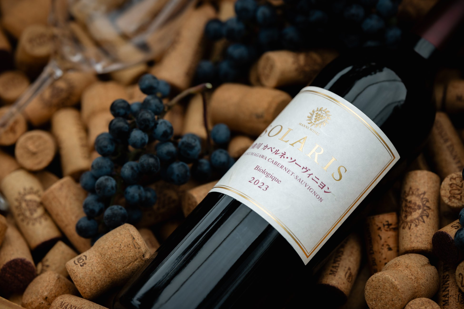 千歳烏山に“焼きたてデトロイトピザ食べ放題”が登場！23cm×23cmのLサイズにチーズ200g超え、約2,000kcalの満足感！秋限定パンプキンシカゴピザも提供開始！