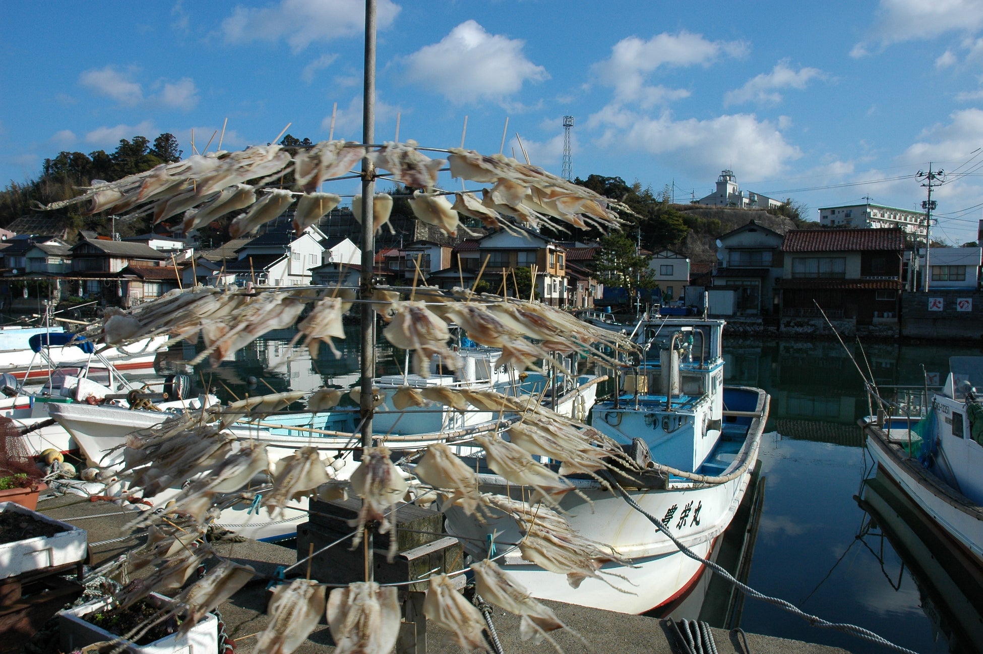 エーデルワイス沖縄【季節限定】宮古島産かぼちゃと沖縄県産紅芋使用の沖縄Petite tarto