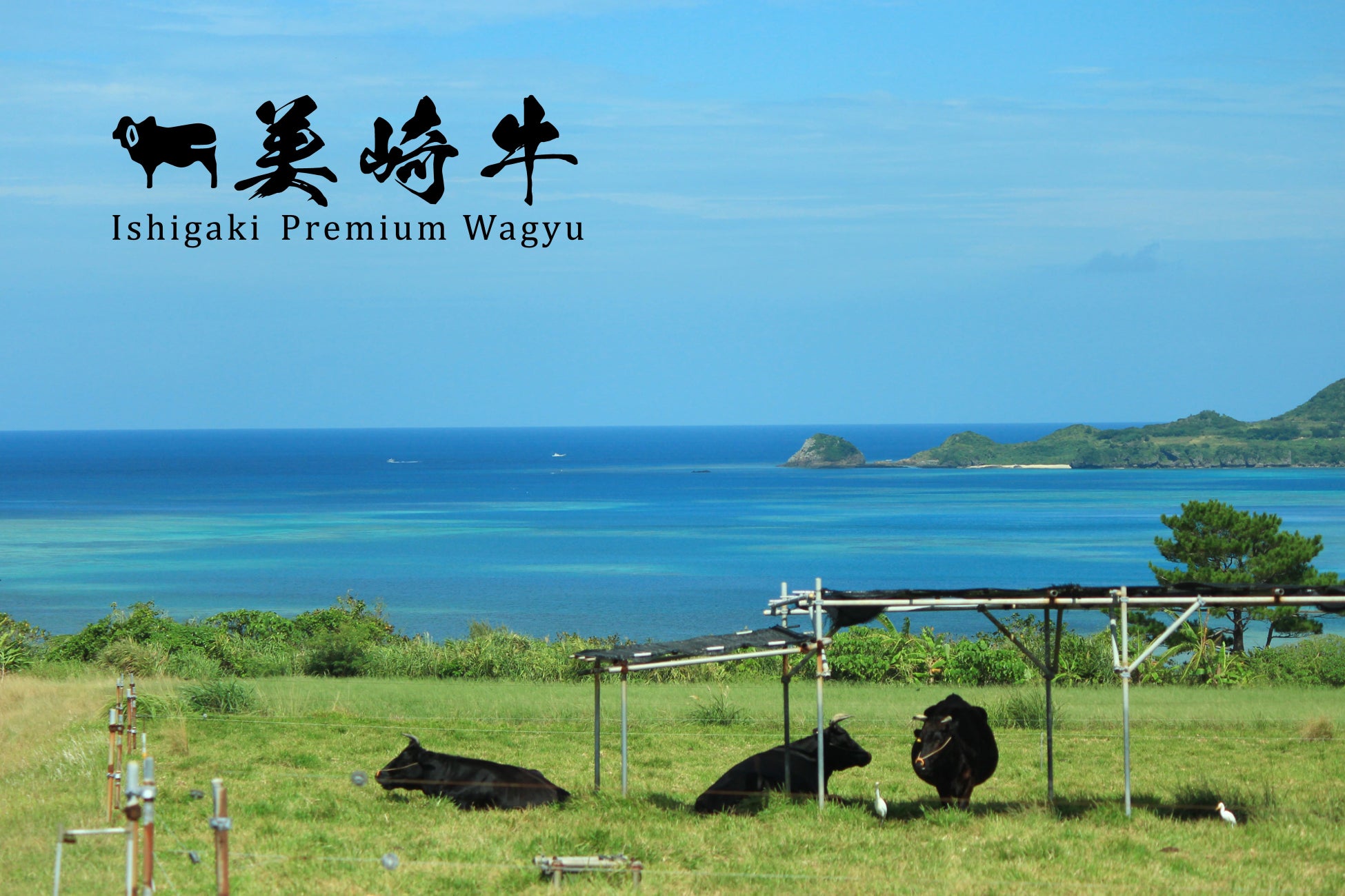 埼玉にいながら韓国の食や文化を満喫する「韓国フェア」。埼玉県内のおふろcafe や玉川温泉、武甲温泉、オーパークおごせで提供する韓国メニューの内容を発表！