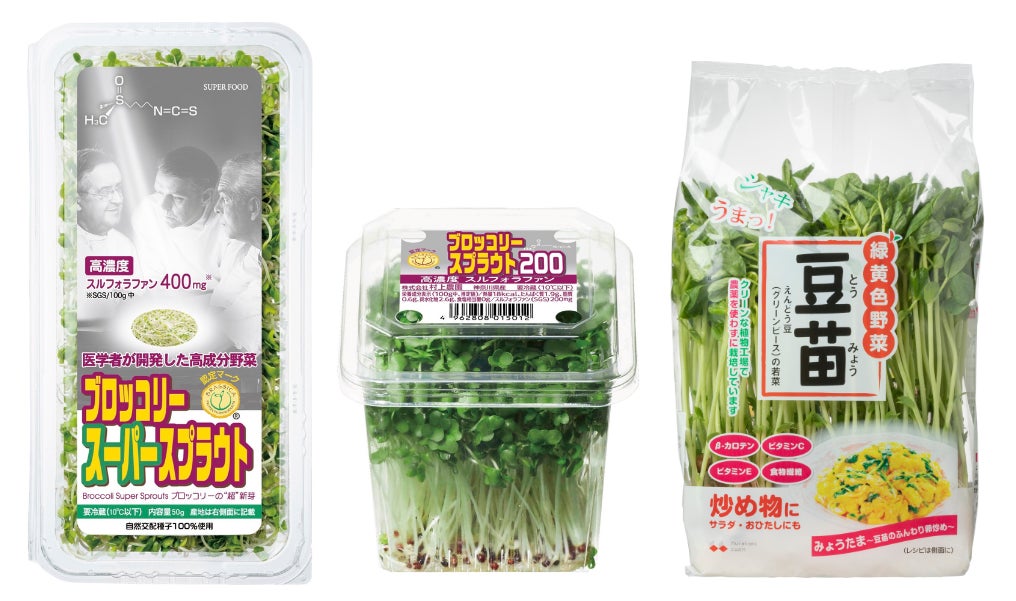 横浜バニラ、湘南エリア初展開！「三井ショッピングパーク ららぽーと湘南平塚」にて期間限定ポップアップストアの開催が決定！