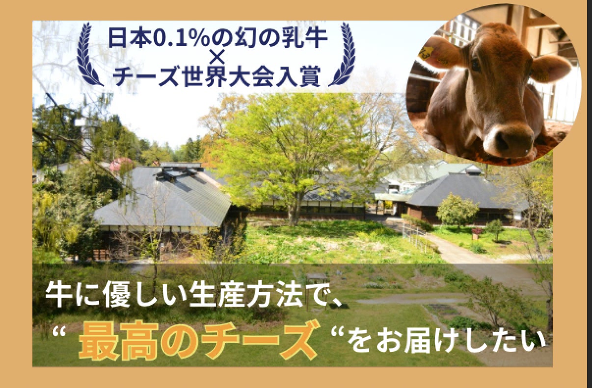 【オーセントホテル小樽】下関直送“虎河豚コース”ー宿泊プランもご用意。