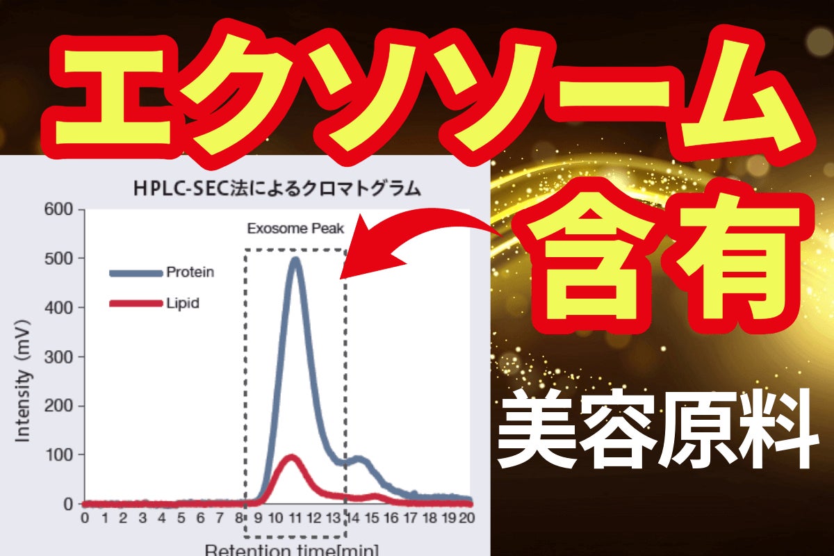 【キハチ 青山本店】栗が主役のアフタヌーンティーやキハチを代表する“ナポレオンパイ”を栗仕立てにしたデザート、黄葉シーズン限定メニューを発売