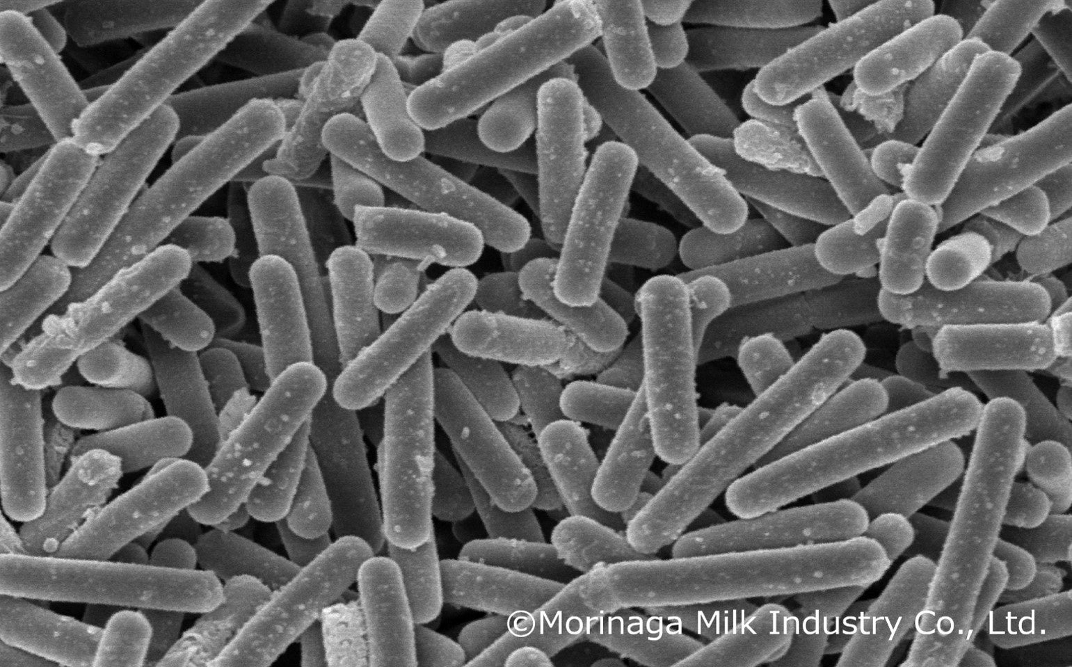 ゴンチャ グローバルアンバサダー Felix　第2弾キャンペーンを10月16日(木)よりスタート