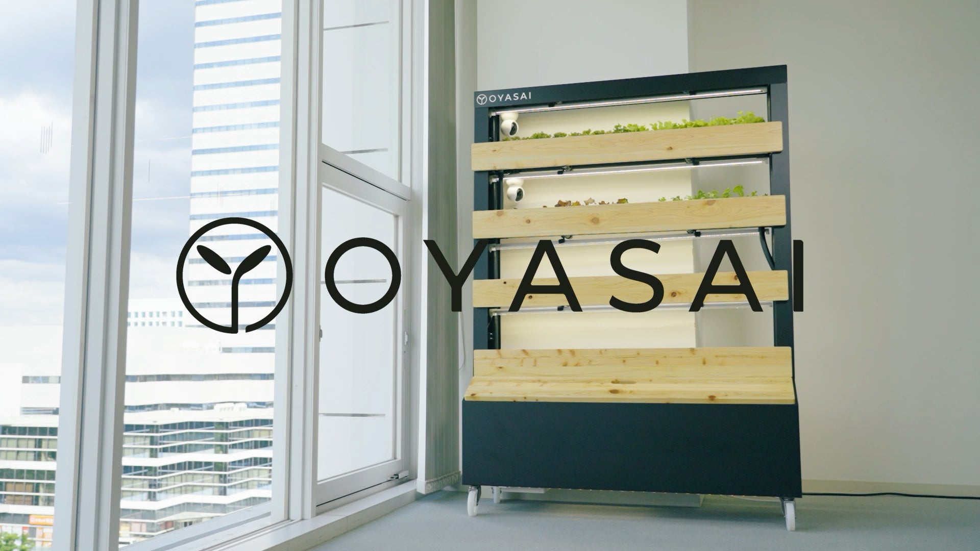 ピスタチオスイーツ専門店【PISTA & TOKYO】銀座三越にて10月29日より、期間限定出店いたします。