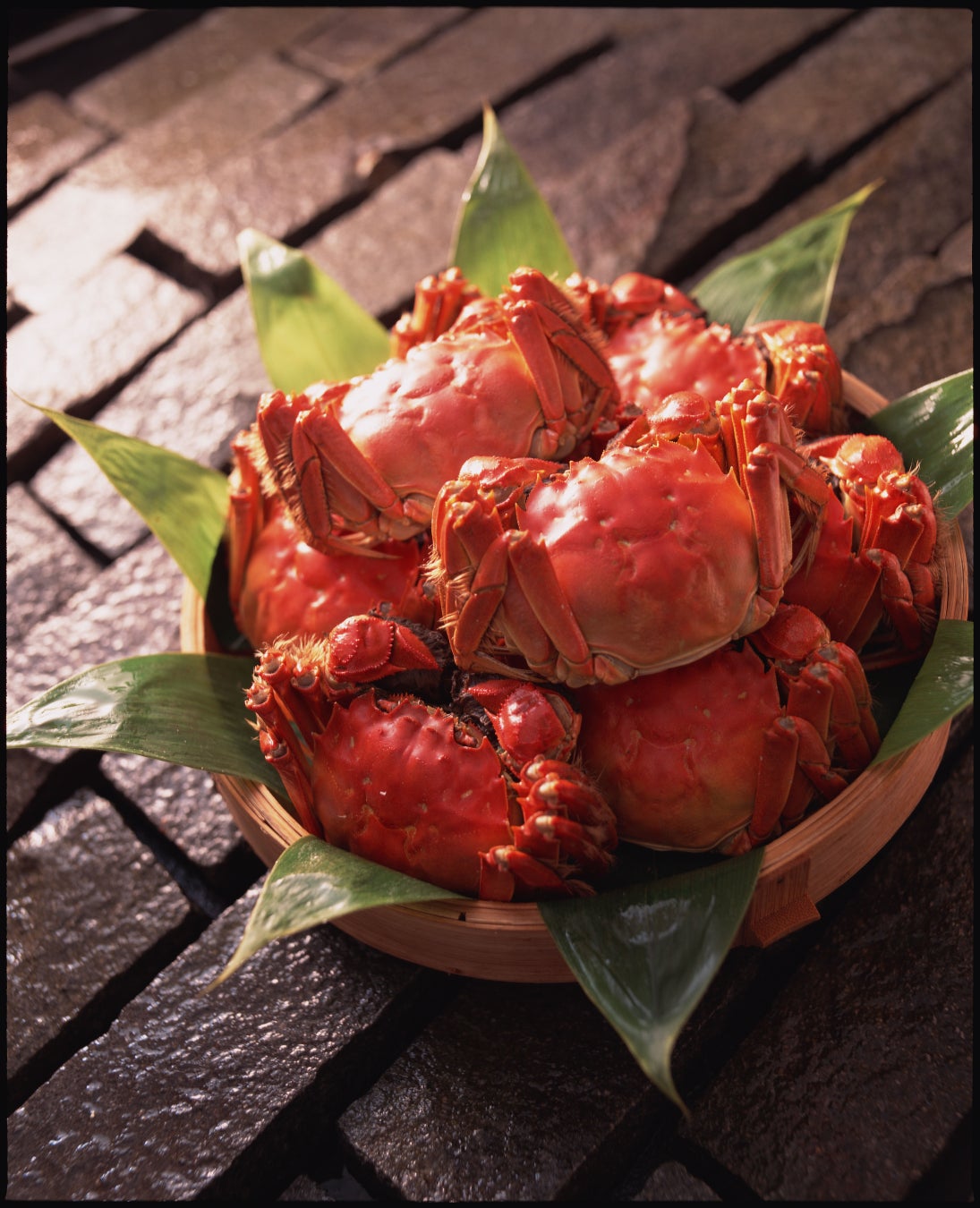 【ami神戸】神戸港の夜景に包まれる特等席!!クリスマスディナーの予約を開始!