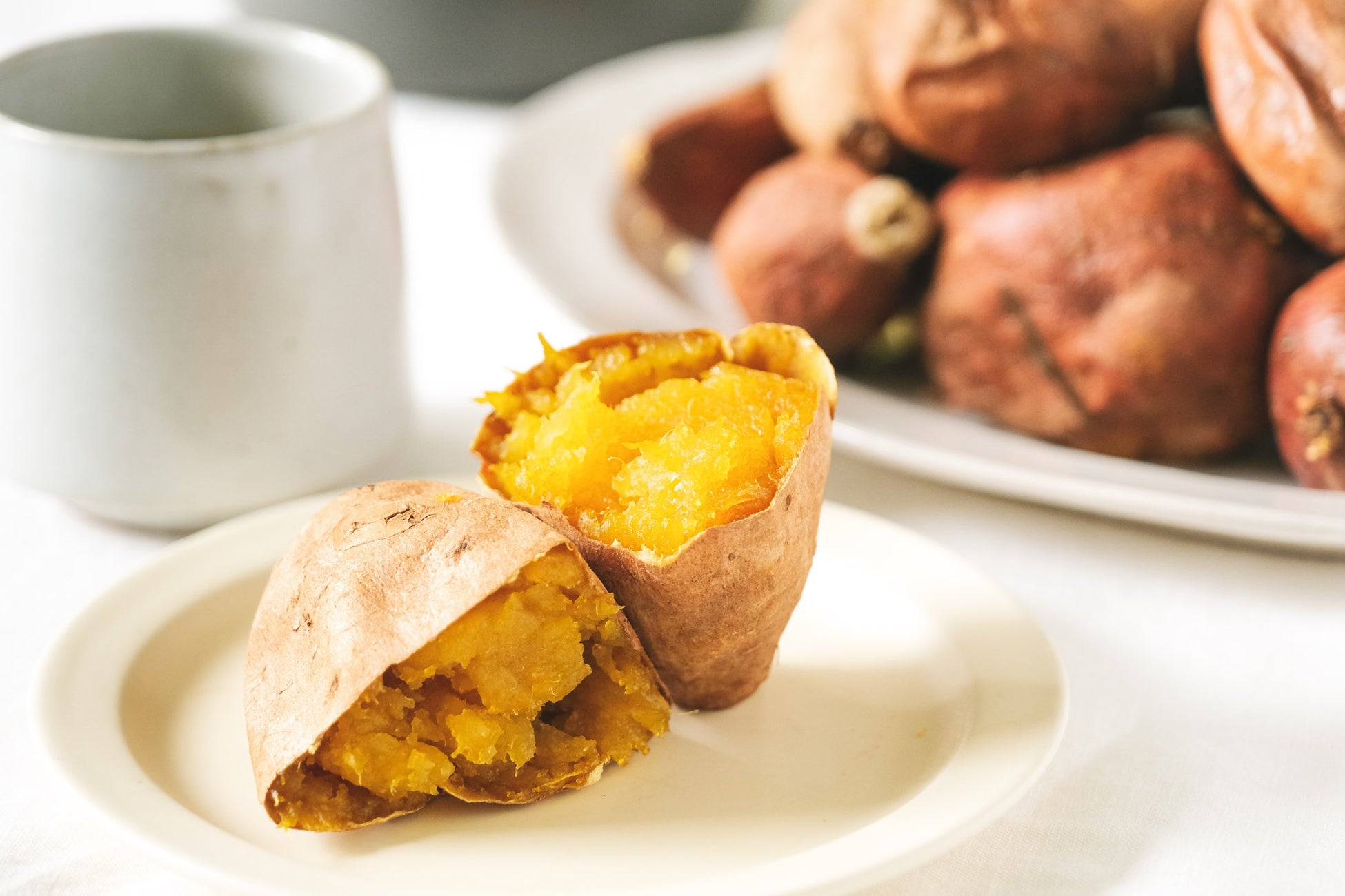 取締役2名が立命館大学卒業生であるNINZIA、立命館創始155年・ 学園創立125周年記念式典・記念イベントに出展。