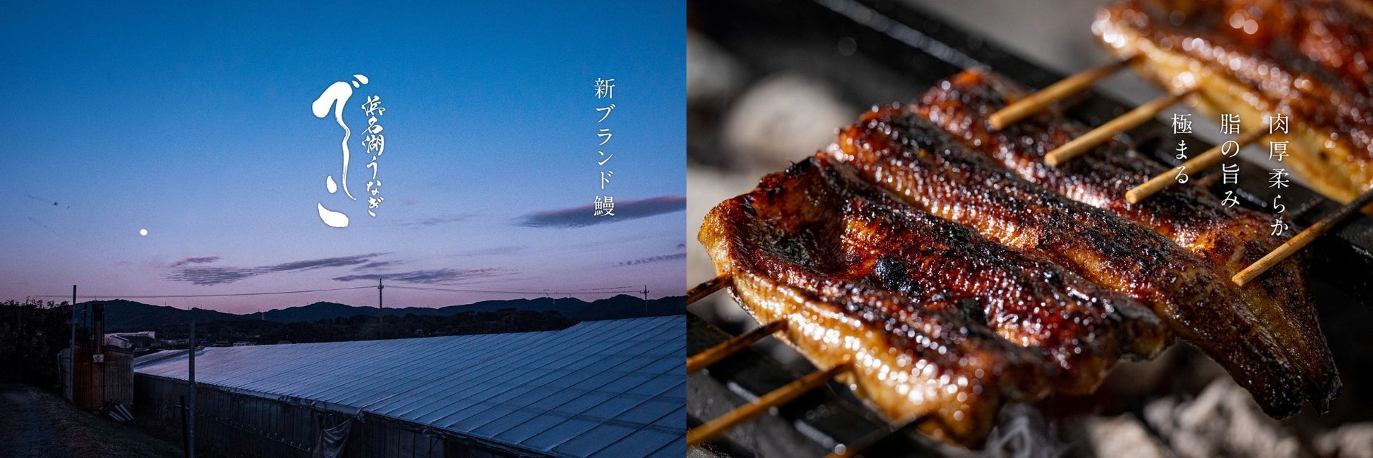 「第10回全国梅酒品評会2025」入賞梅酒が決定！85社141品の「梅酒」の中から48品が選出されました。