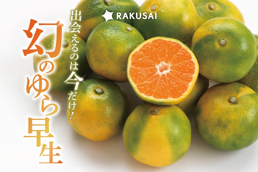 「サッポロサワー 氷彩1984」ブランド限定品第3弾「華やぎゆず仕立て」10月21日(火)数量限定発売