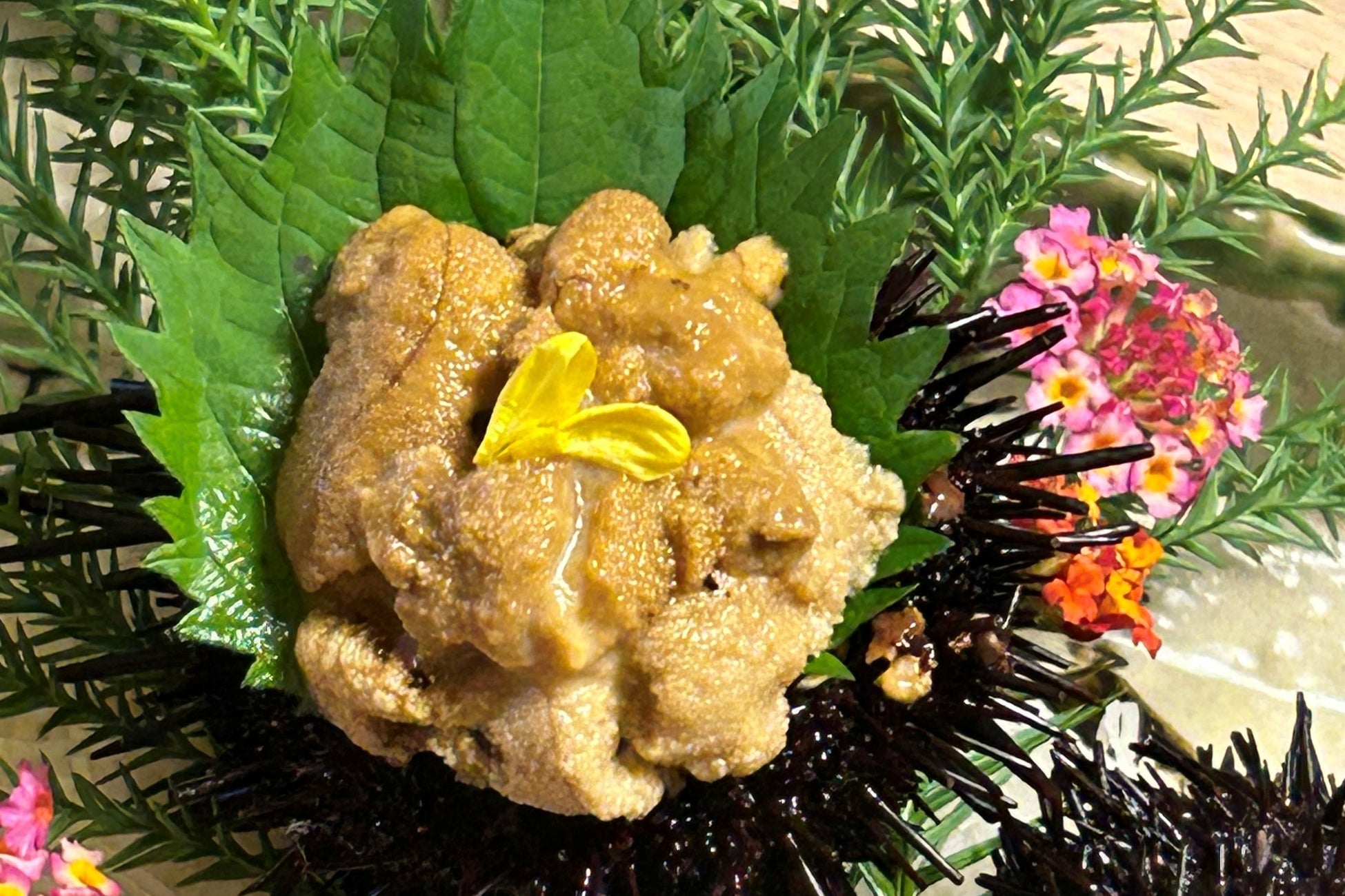 【コープデリ】女子栄養大学食文化栄養学科の学生が開発した、スマートミール基準の弁当「黒酢チキン南蛮弁当」　10月20日（月）から会員5生協の店舗で発売