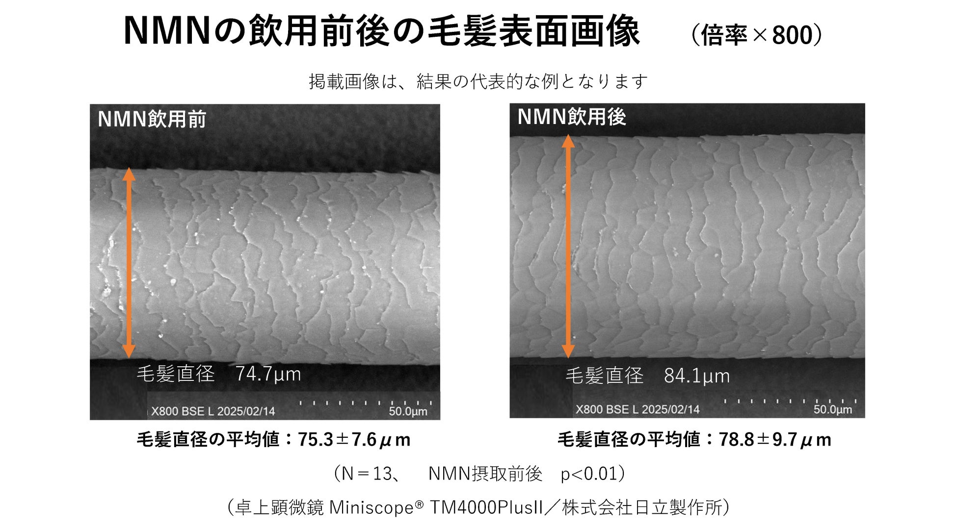 株式会社大森屋　関西作業所・広川工場食品安全マネジメントシステム「FSSC22000」取得に関するお知らせ