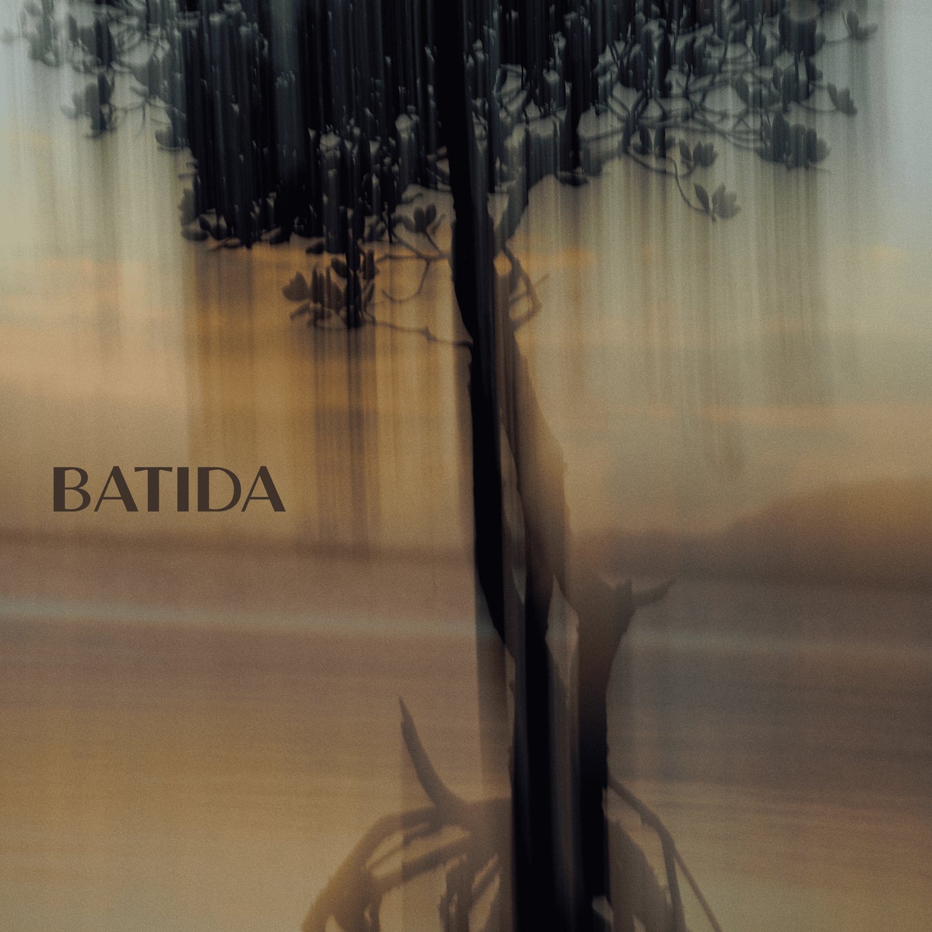 Mutter x アメリカ穀物バイオプロダクツ協会 アメリカ産ホワイトソルガムを活用した「フェアフード」共同プロジェクト始動