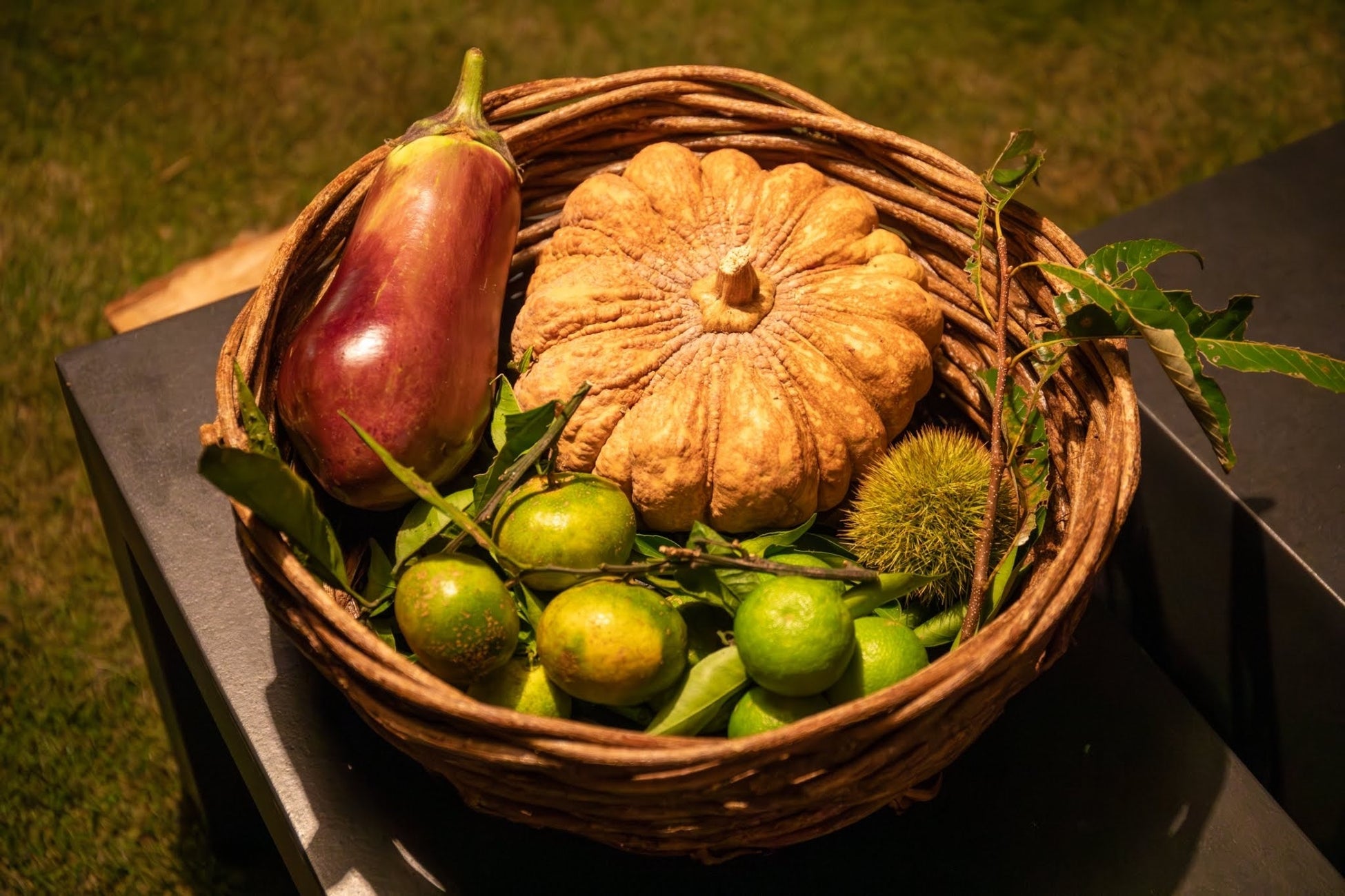 南陽市のラーメンカードラリーが「世界わんこラーメン」とコラボでまちおこし