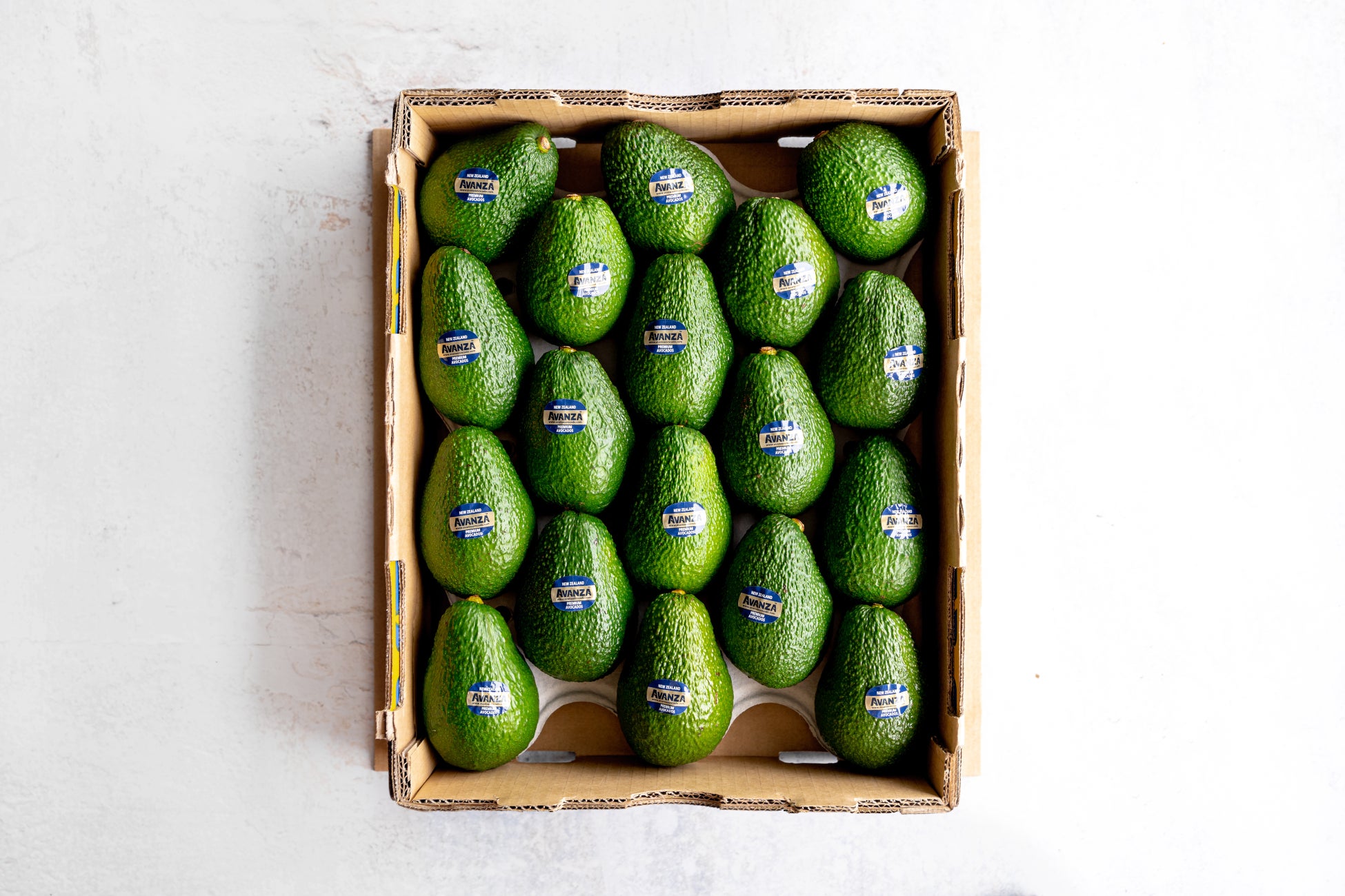 神奈川初出店！ もちもち×濃厚餡「だんごや杜」がマルイファミリー溝口にオープン！