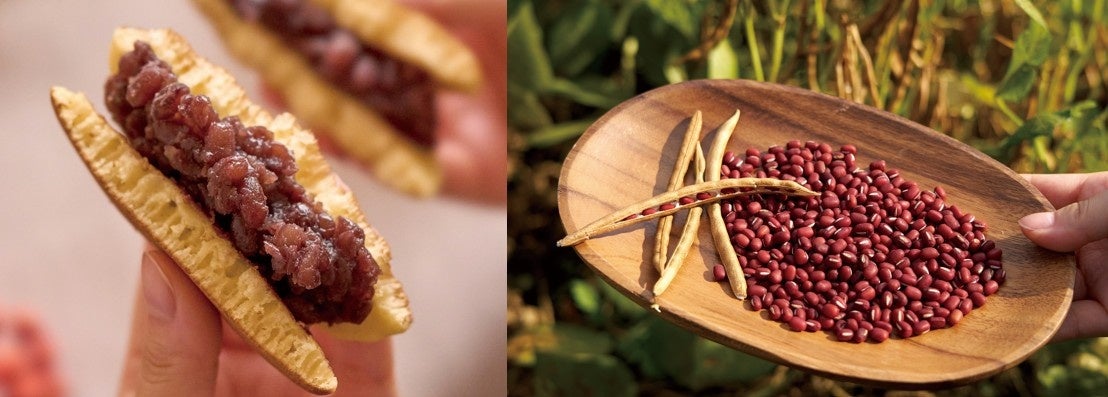 【埼玉県戸田市・産学連携】戸田市立中学校産のマスタードをつくっています