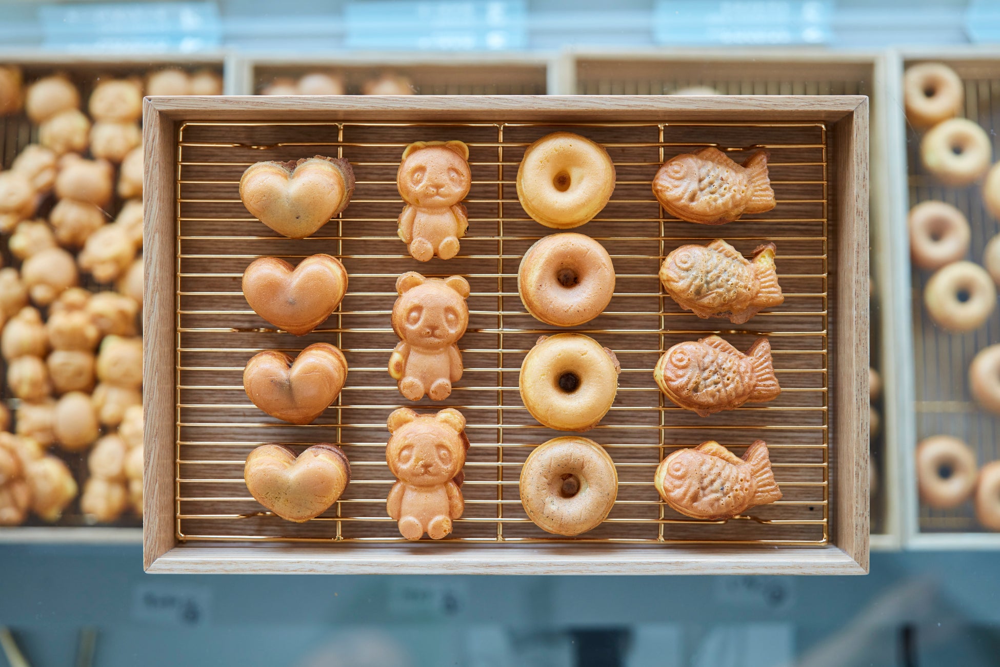 津南醸造は「Design Solution Forum 2025」に登壇しました