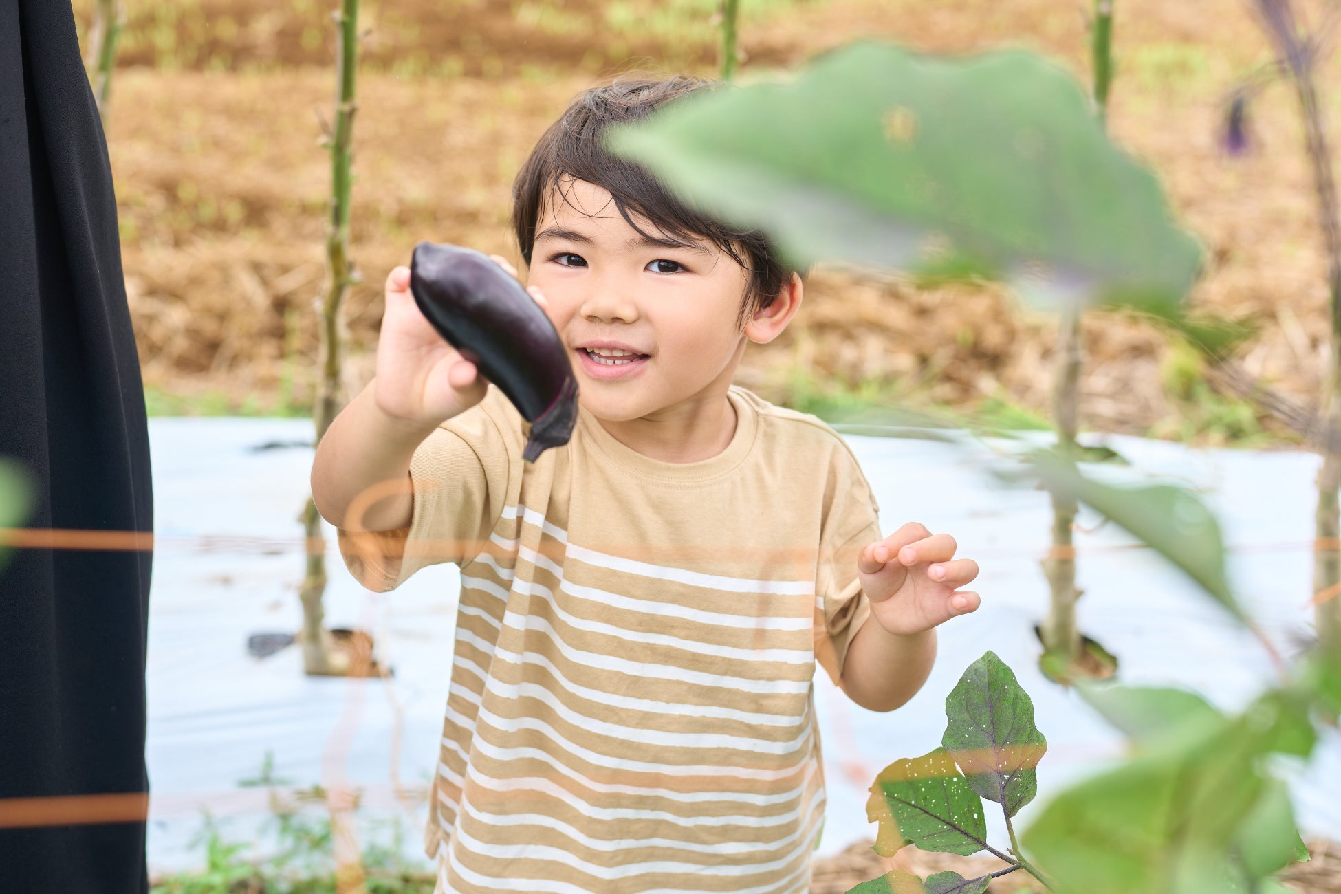 ヒルトン長崎 新たな鉄板焼きのスタイルを提唱 長崎の美食を極める『和蘭綴り（わらんつづり) NAGASAKI 鉄板』