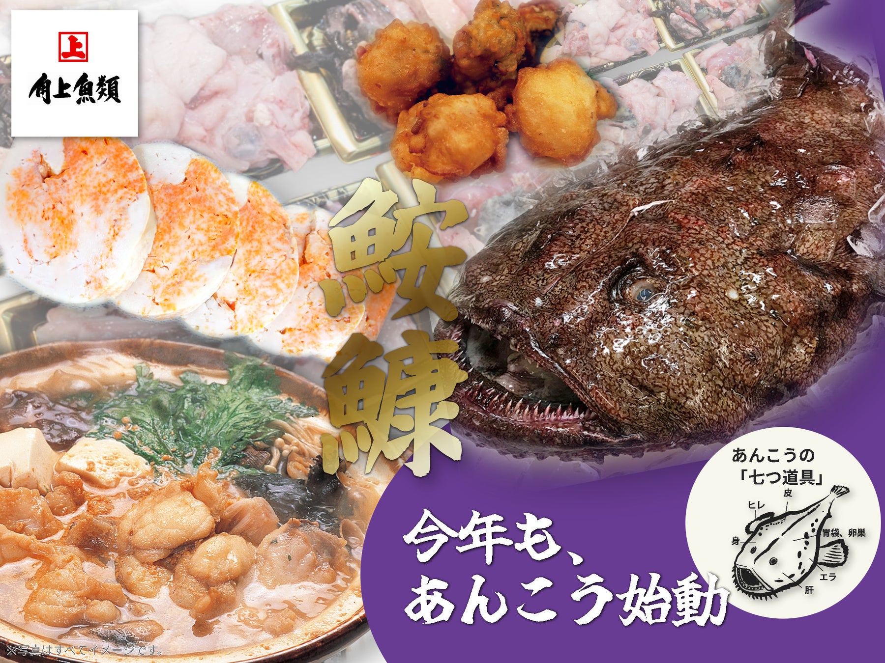 Foodα X Tokyo（フーダクロストウキョウ）が東京都のTIB CATAPULT事業に採択されました！