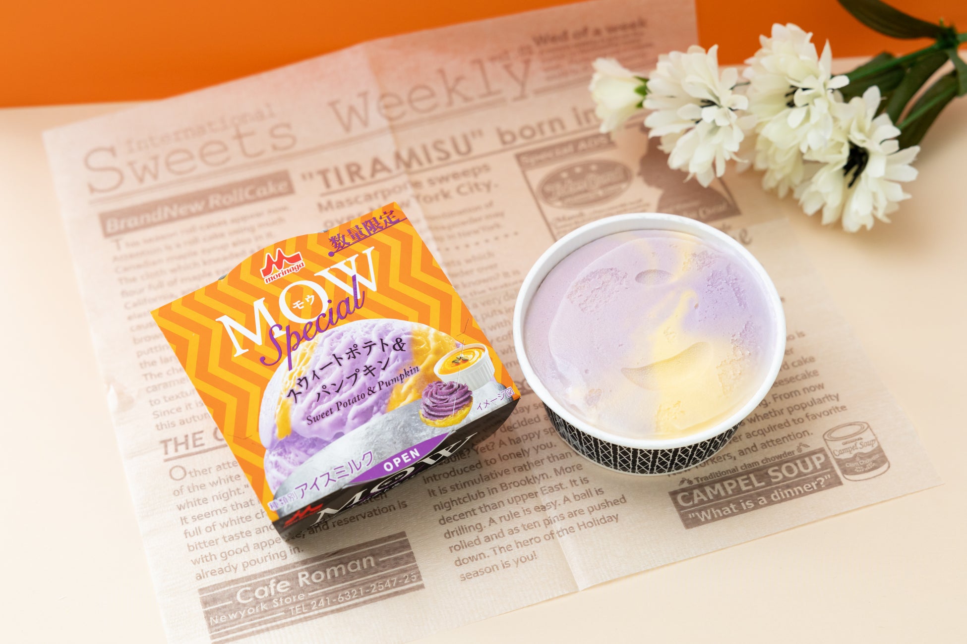 信楽の伝統工芸が日常へ。