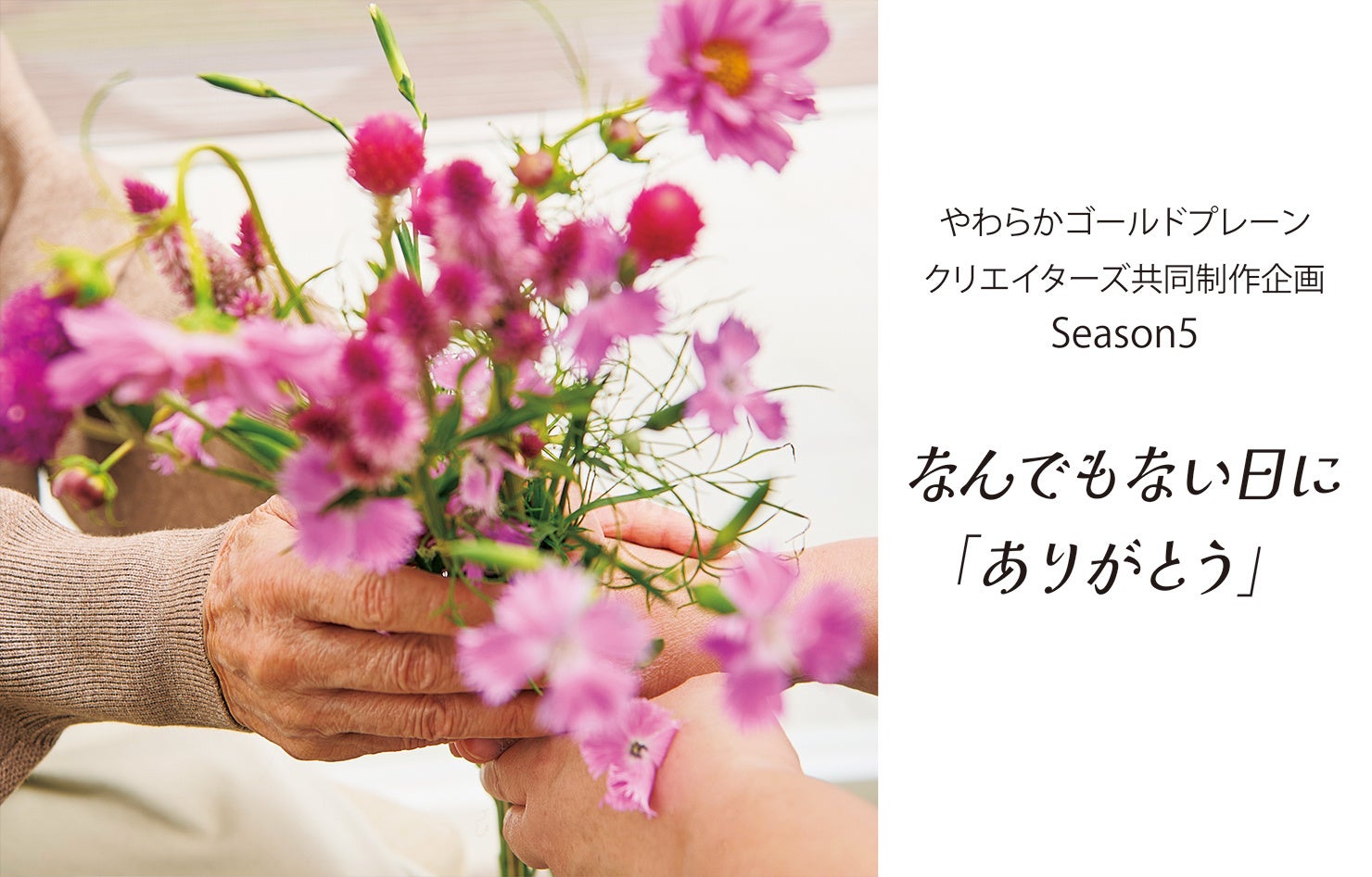 遊べるラーメン、できました！!『解体パズルLite ラーメンパズル』