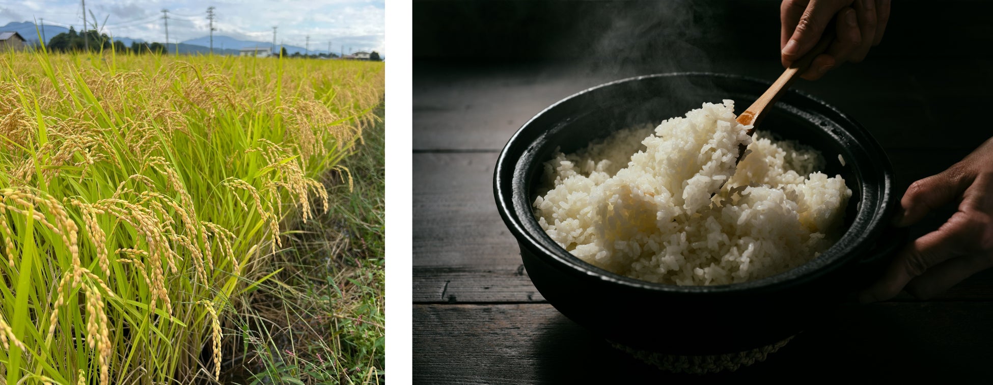 【名古屋タカシマヤ】ご自宅用商品は過去最大展開、贈るものから自分用まで多様化するギフト需要に対応 「2025 髙島屋 冬の贈りもの」について