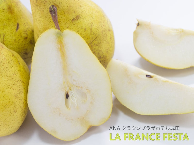 東急ホテルズ、グランプリ受賞カクテル「Botanical Grace」を全国展開。若手バーテンダーの技術が光る、鹿児島の食材を活かしたオリジナルカクテルが登場