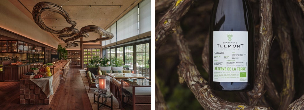 ガンベロロッソ『ヴィーニ・ディタリア 2026年度版』を発表