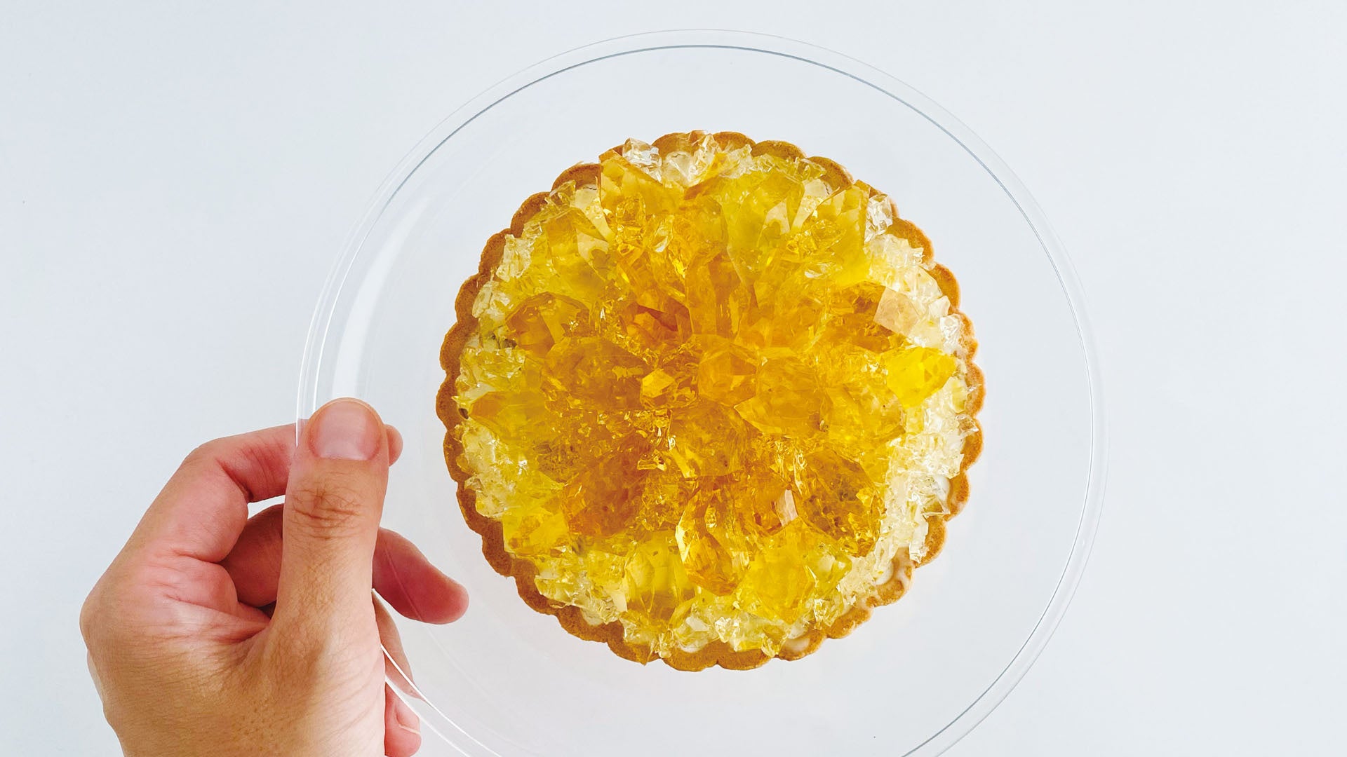 冬の寒さこそ、最高のスパイス。京都タワービルの屋上にて薬膳火鍋、サムギョプサルを11月1日(土)より期間限定で提供