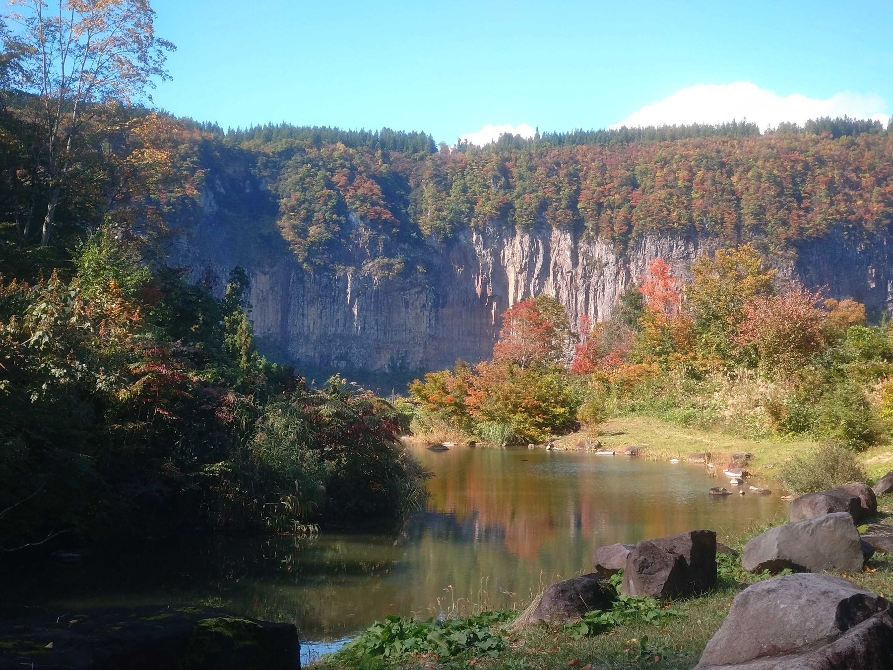 福屋広島駅前店に「ウェルビーイング野菜」常設棚が誕生！記念イベントとして さいねい龍二 が店頭に登場 ― 10月30日（木）限定 ―
