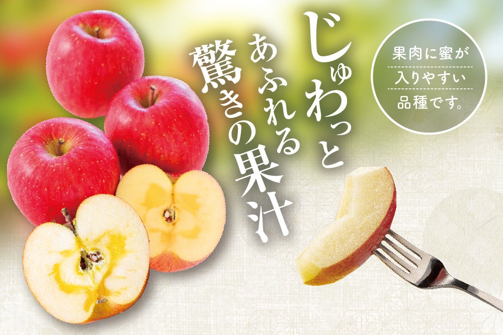 【木村屋總本店】＜新商品＞シャリっと食感を楽しめる「練乳ミルクパン」を11月1日から直営店にて発売。