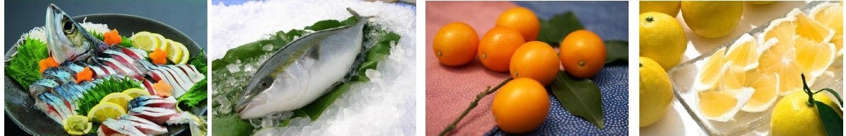 とろける甘さの「生本ずわい蟹」が税込160円～で登場！人気YouTuberきまぐれクック監修「カンジャンケジャン」が待望の再販決定！ひと足早く、かに到来！『かに初め』開催