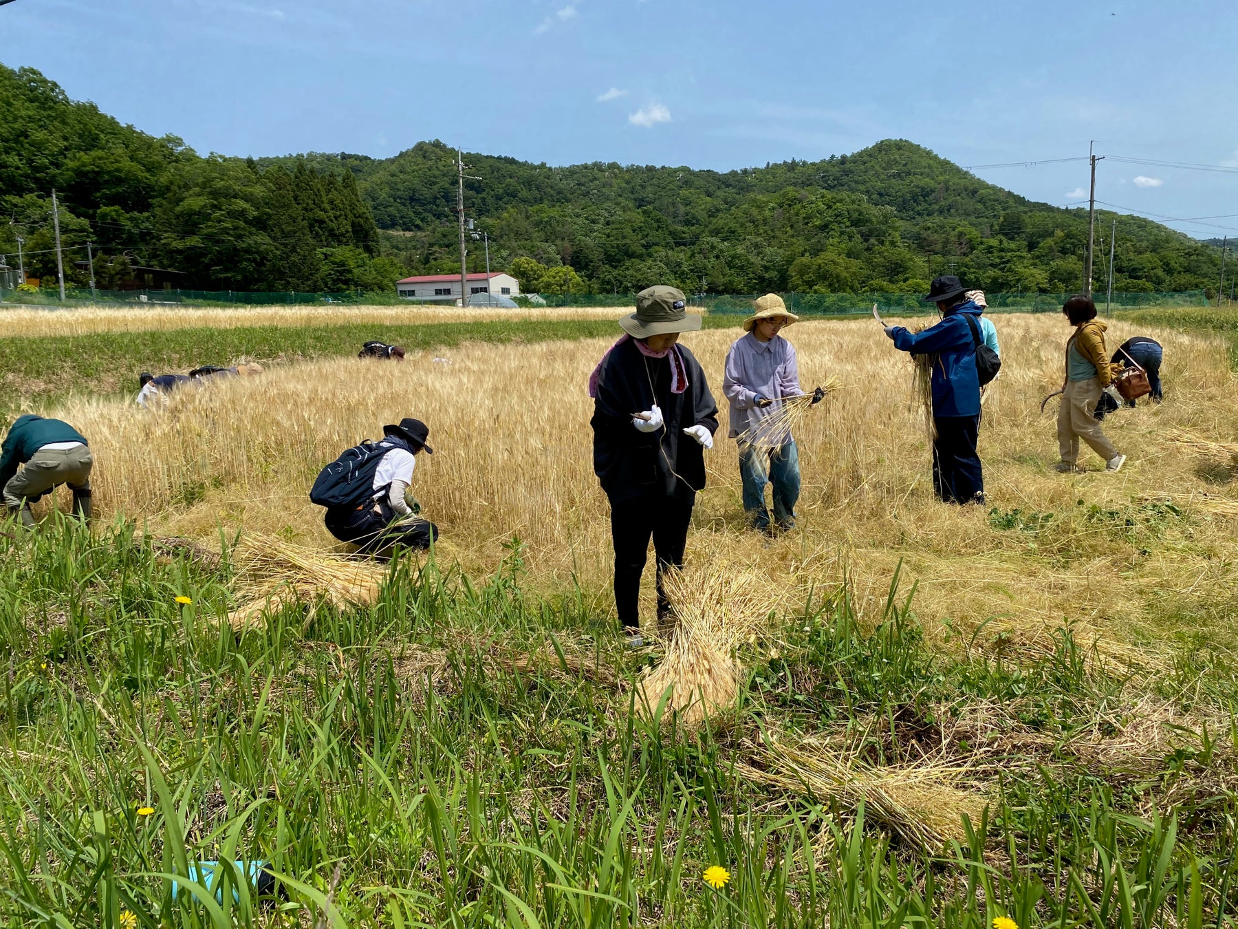 【広島県東広島市】8月よりJR西条駅で350円生搾りオレンジジュース自販機IJOOZが稼働開始！