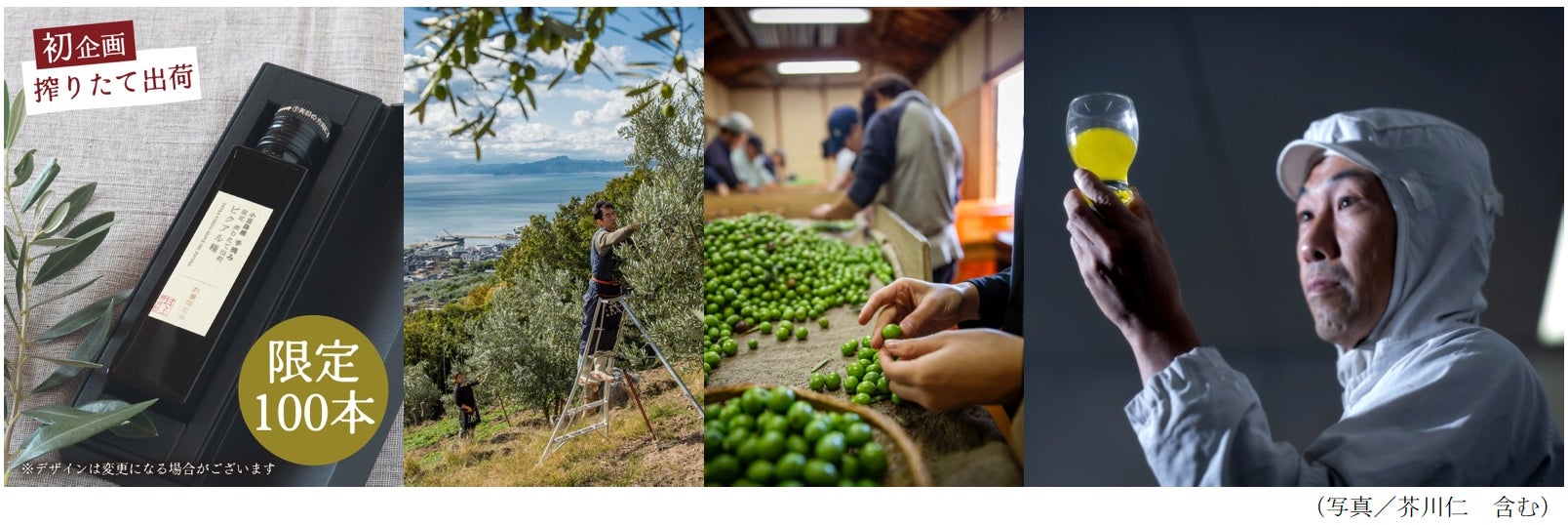 ホールケーキを“ひとりじめ”。ショートケーキ風に仕立てた、エアリーチーズクリームパンケーキ＆“生”モンブランが登場！「ビブリオテークのクリスマスフェア」11/6(木)よりスタート