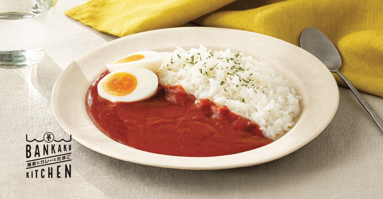 スポンジケーキ売上 国内No.1※のサンラヴィアンから猫ブームに新提案！作って楽しい・食べて美味しい♪おうちで“ネコ”レーション🐾『ねこのスポンジケーキ』 新発売