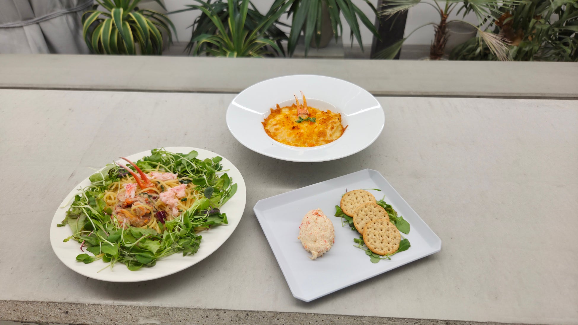 「スマレジ」と連携|飲食店向けポイント会員アプリ作成サービス「レストランスター」