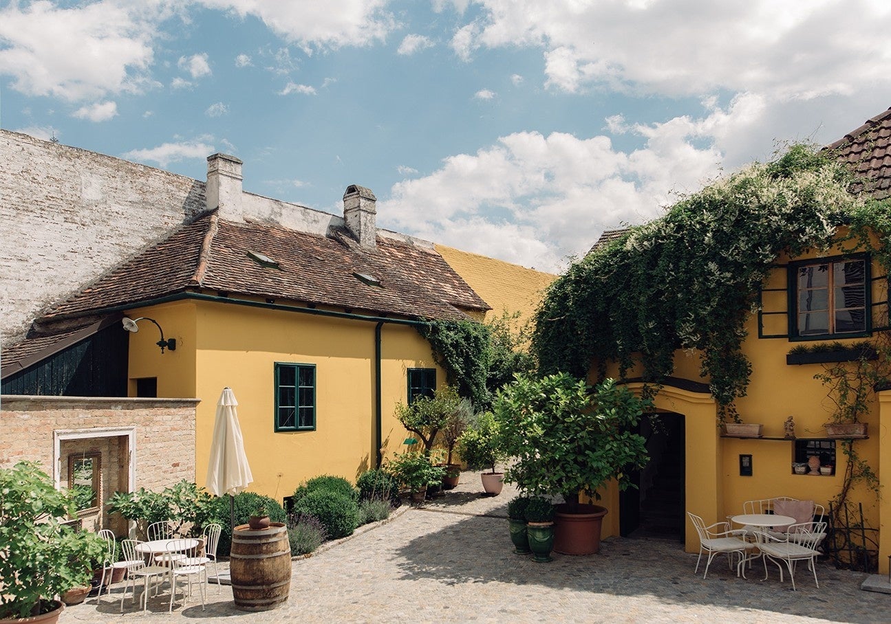 BUSO BREWERY【季節限定ビール】第3弾!町田の老舗茶屋のお茶を使った秋限定ビールを11月1日リリース!