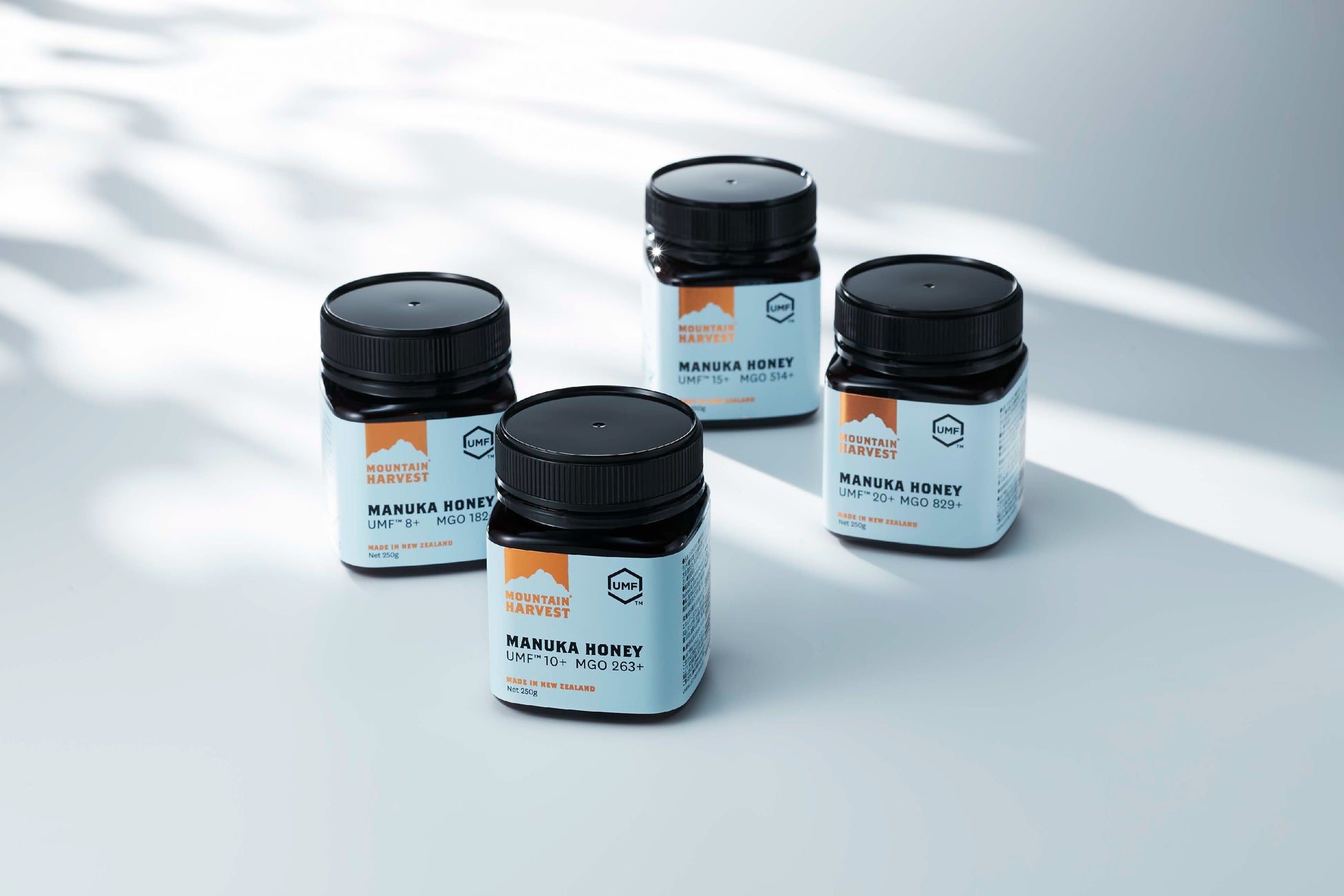 【ブランド初】RINGOのパイが、お腹を満たすメインディッシュに|“お食事パイ”が新登場!たっぷりのお肉で食べ応えも♪サクサクッジューシーな「焼きたてデミグラスミートパイ」