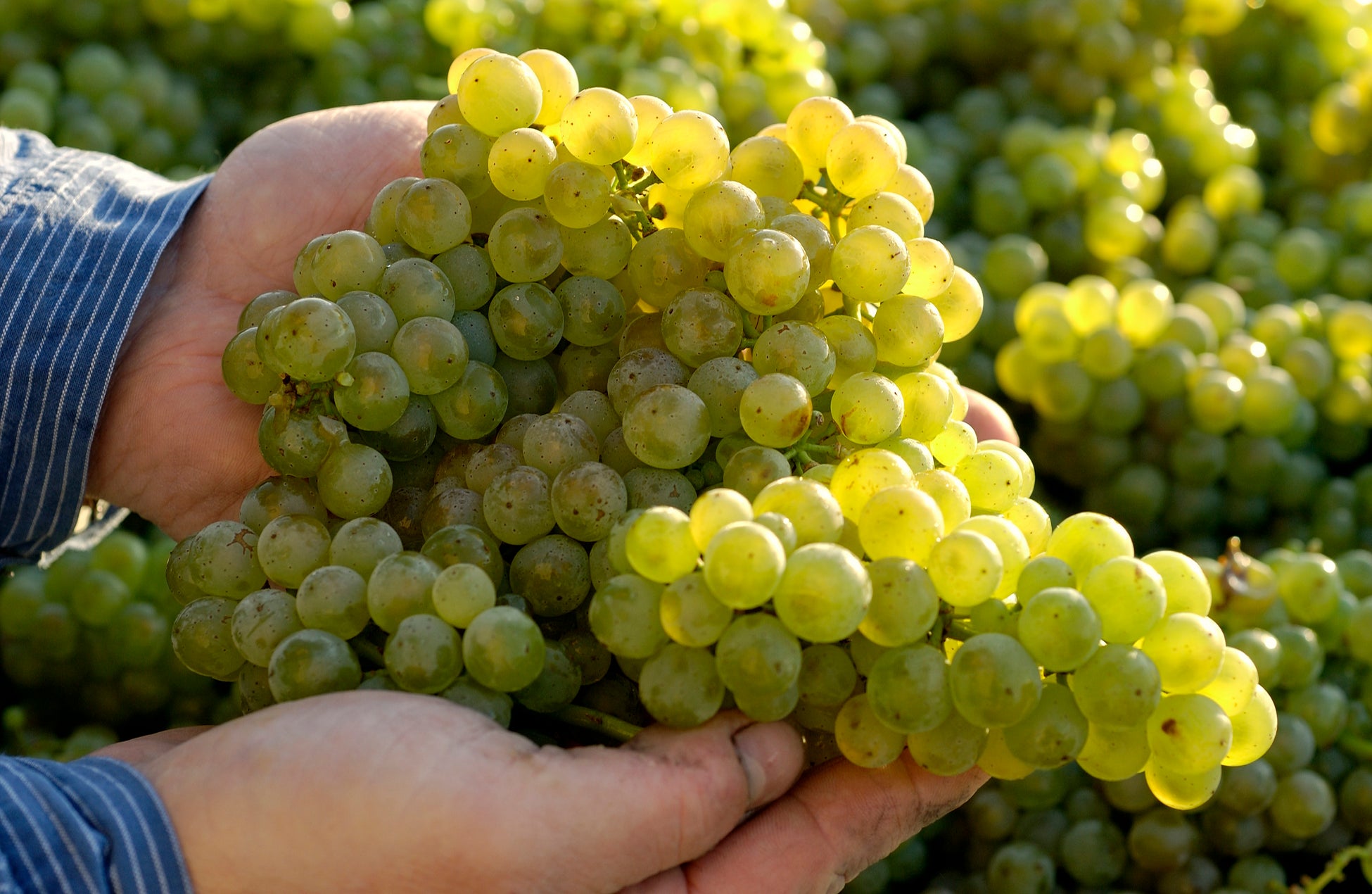 神奈川県のオープンイノベーション推進プログラム 「ビジネスアクセラレーターかながわ(BAK)2025」に採択されました