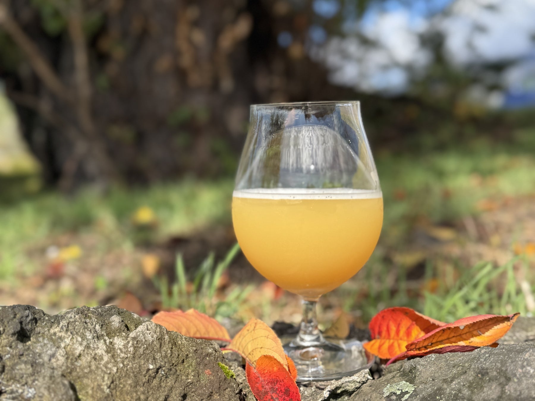 ハイアット初のラグジュアリー温泉旅館ブランド「吾汝 Atona」、「割烹 吾汝」を京都・祇園白川に2026年秋開業