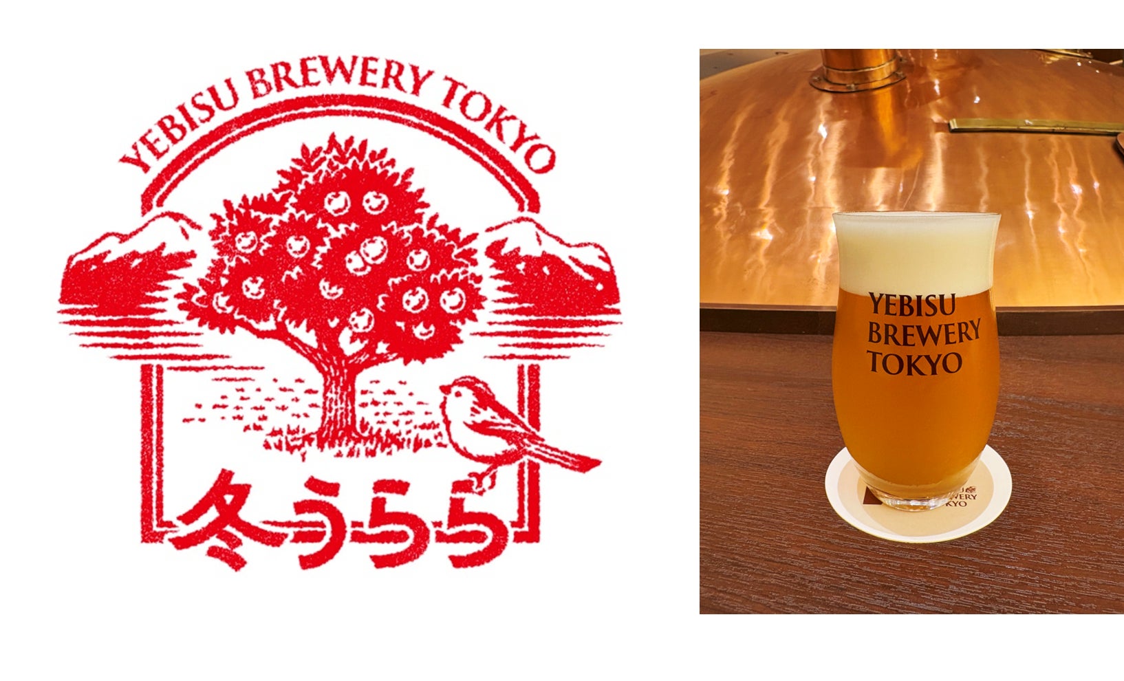 富澤商店、全農グループと共同開発したオリジナル製粉の製菓用・製パン用米粉を11月1日（土）より販売開始