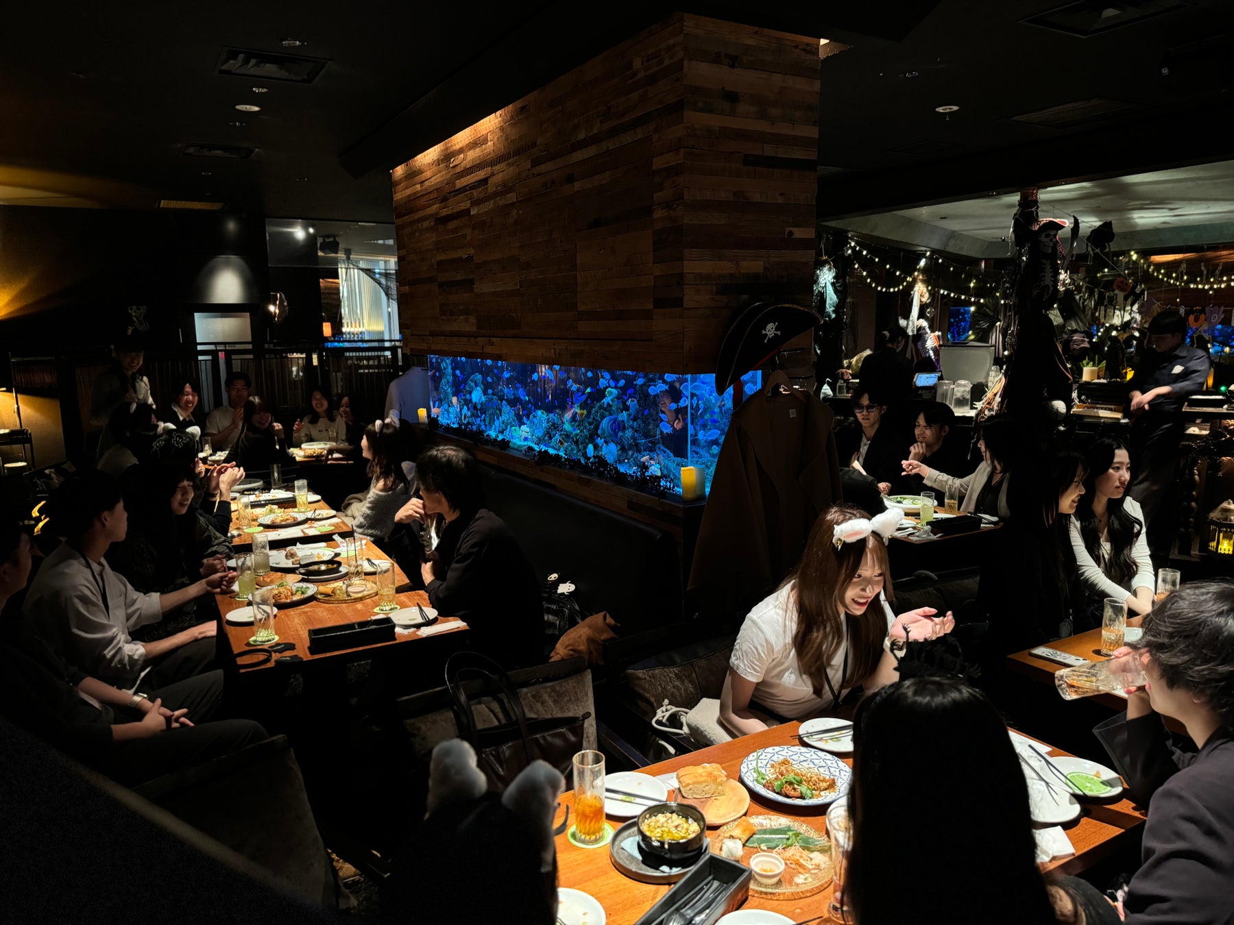 BEYOND FREE 全国４店舗とコラボレーション開始ヴィーガン・ベジタリアン向けの特別メニューが登場