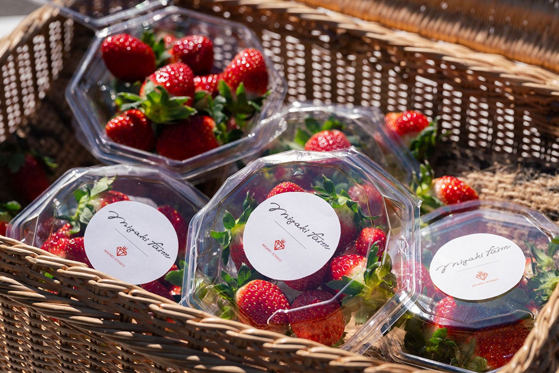 飲食店の電話注文を音声AIが応対。「Camel AI Call」β版の提供を開始