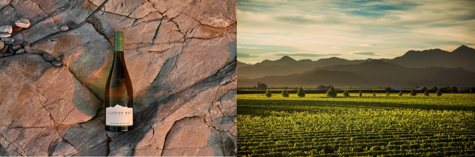 JAタウンと全農東北プロジェクトがコラボ「食べて知って東北応援」をテーマに「東北六県絆米セット」プレゼント