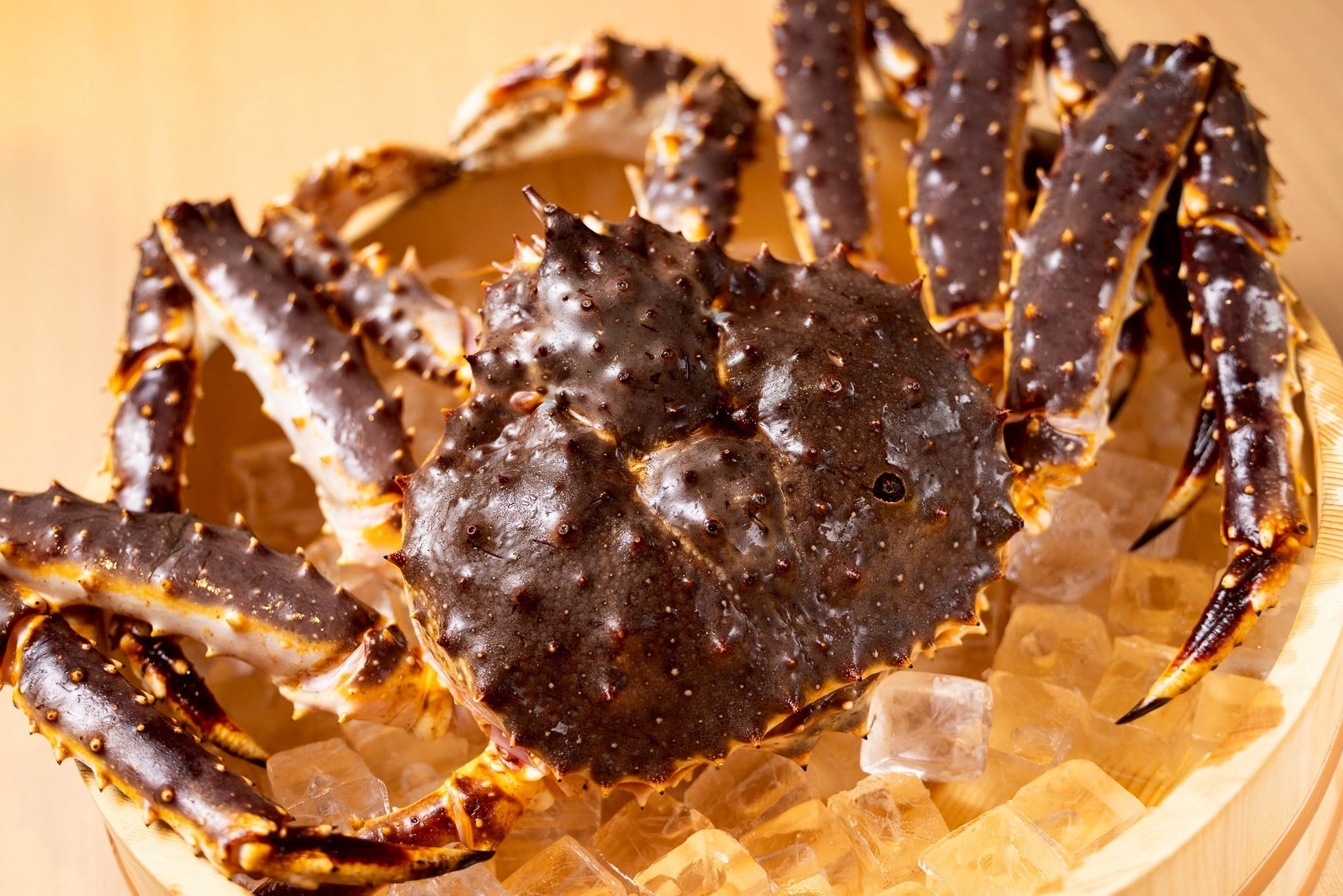 “たれ”ひとつで、毎日が変わる！人気料理教室が初めて「たれ」レシピに特化した一冊を発表！『予約の取れない料理教室SPICEUPの作りたくなる日々の“たれ”』出版のお知らせ