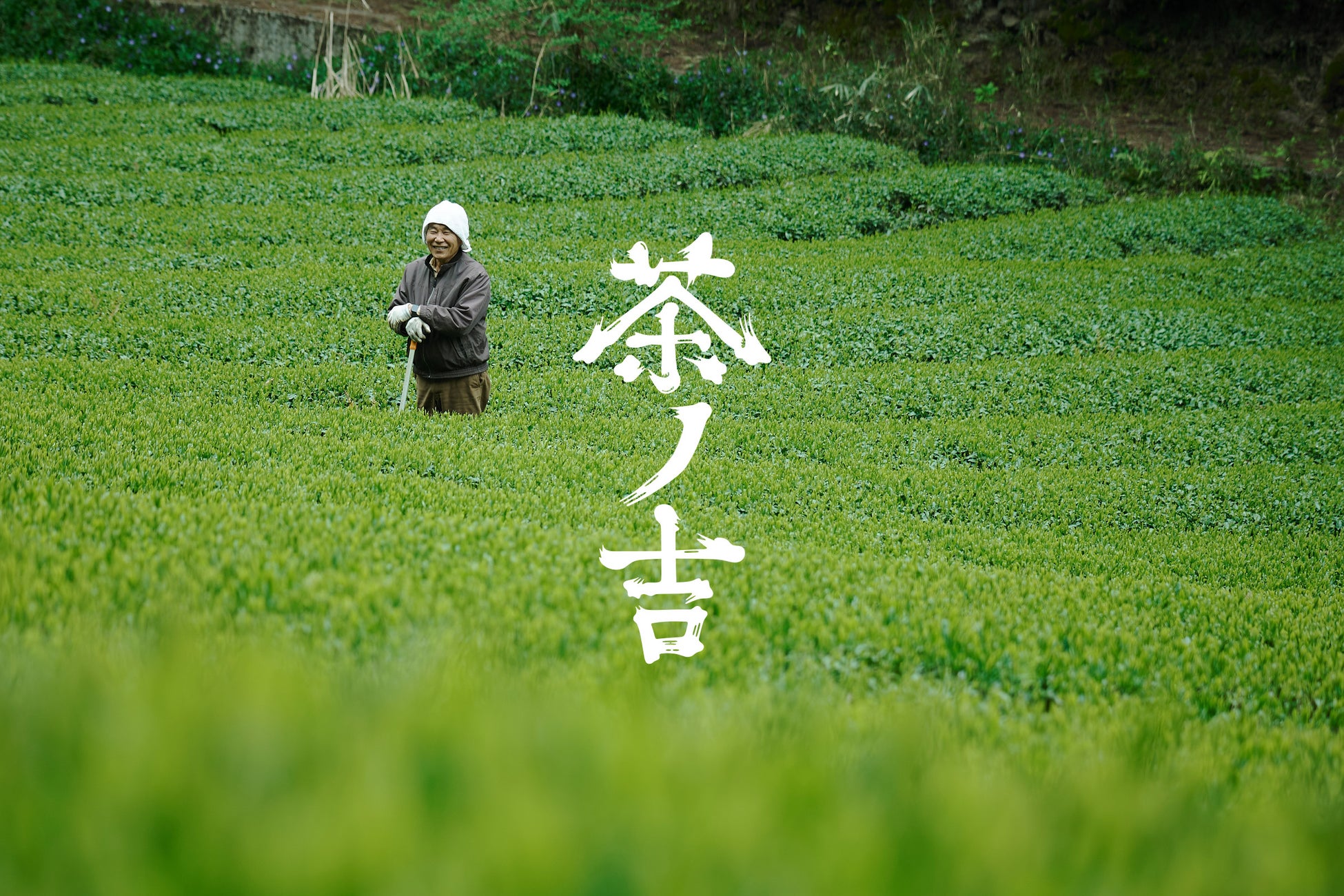 【ツヴィーゼル グラス】新作「Vuelo(ヴエロ)」を発売。